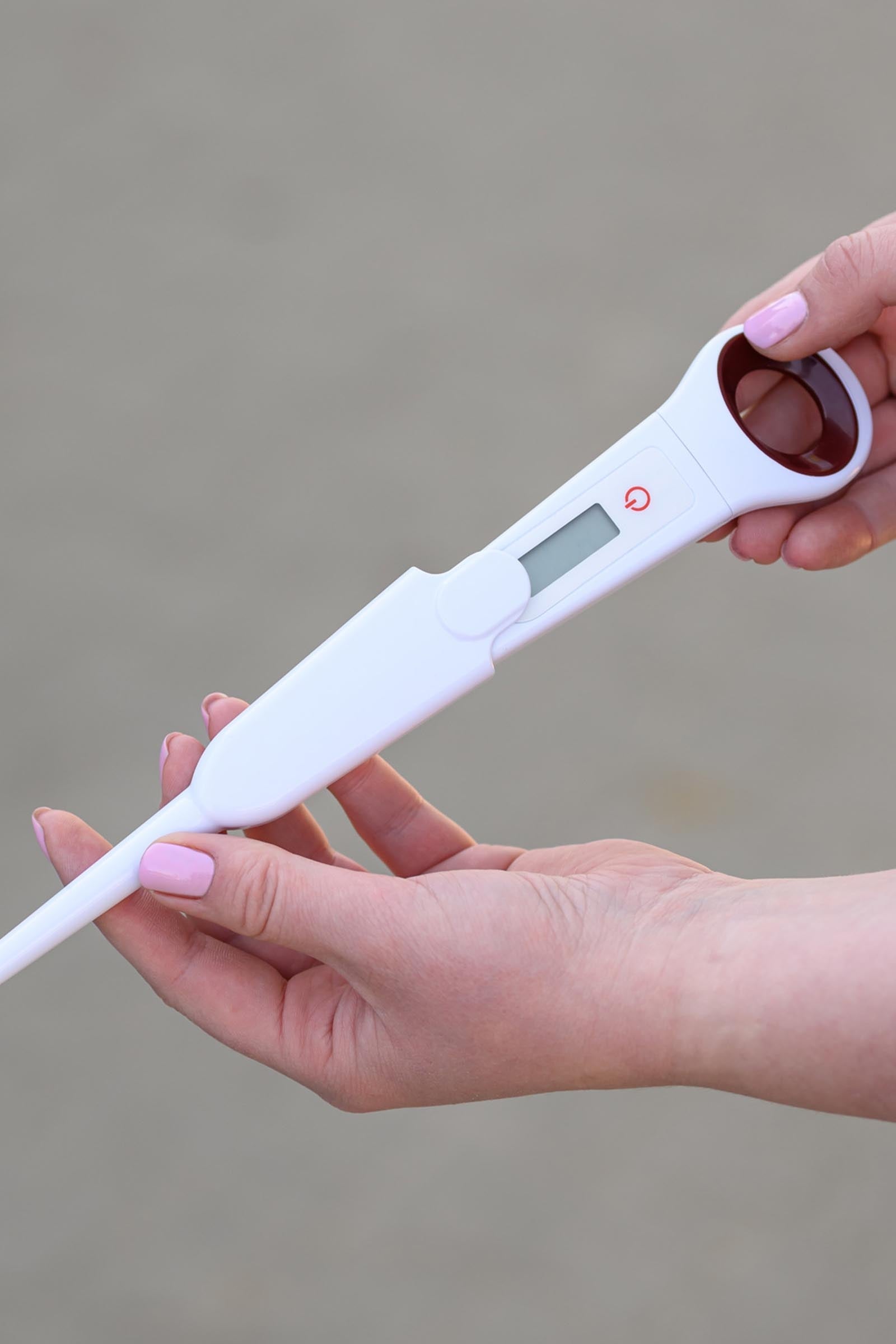 Waldhausen Digital Thermometer for Horses Horse Health Care