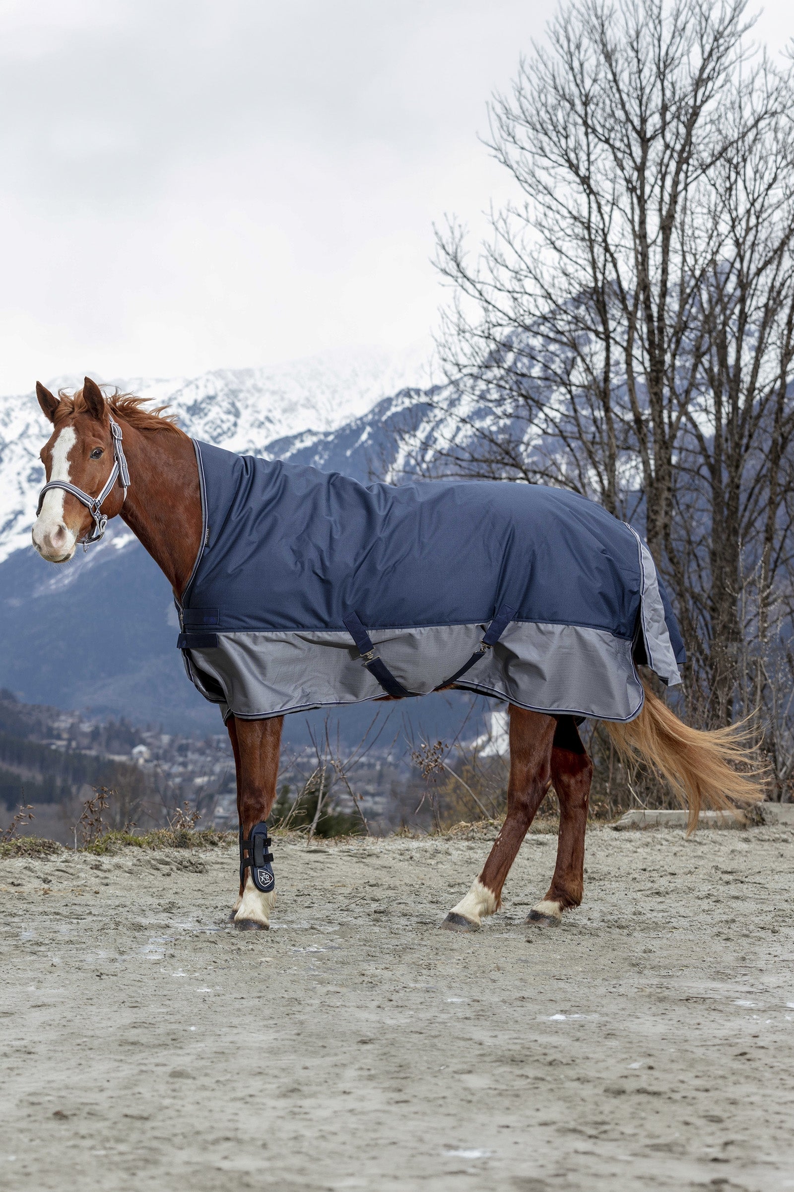 EQUITHÈME TYREX 600D deken met hoge hals, 150 g Paardendekens