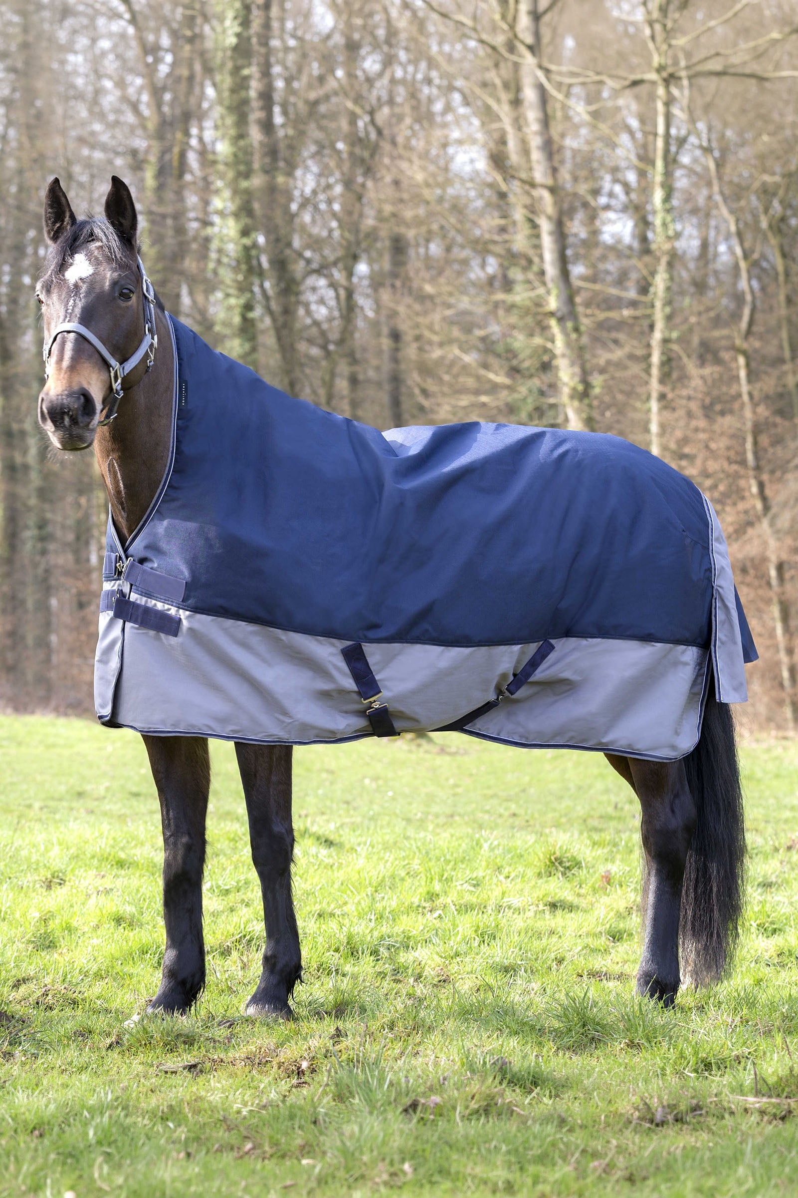 EQUITHÈME TYREX 600D High Neck Rug, 150 g Horse Rugs