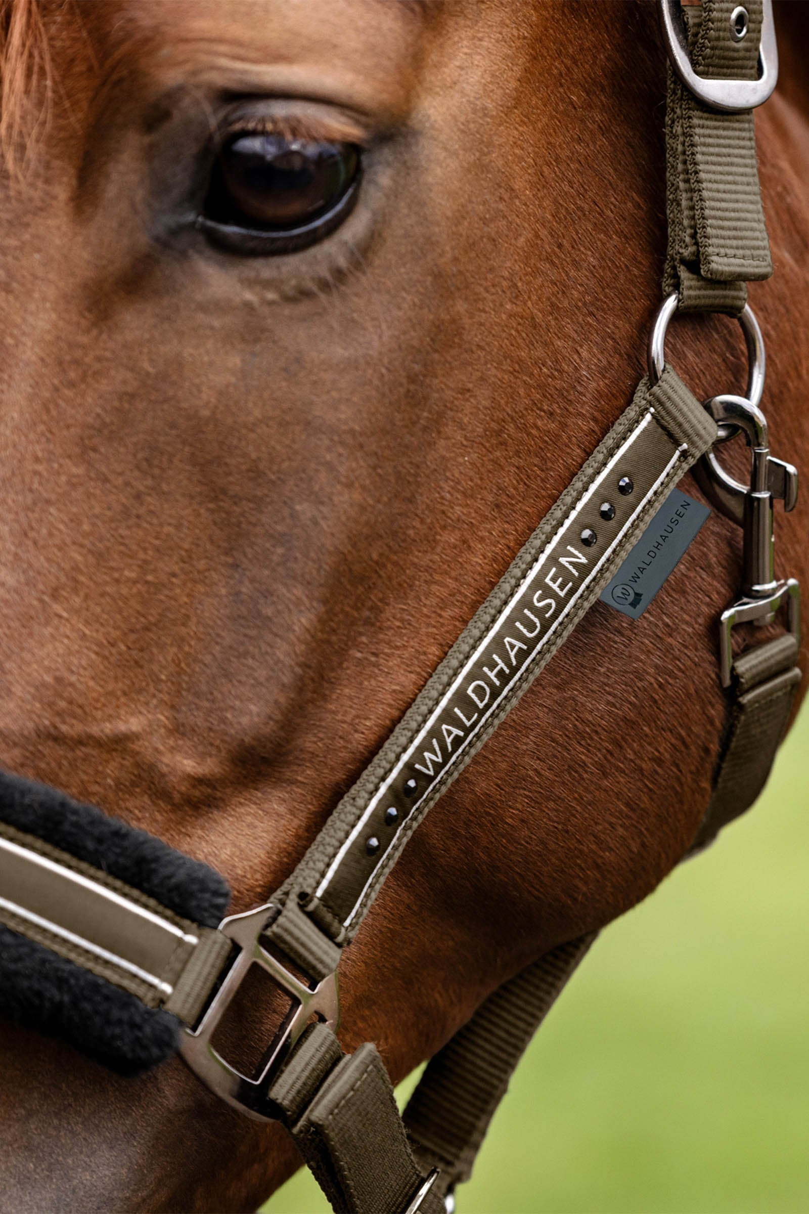 Waldhausen Elegant Halter Halters & Leads