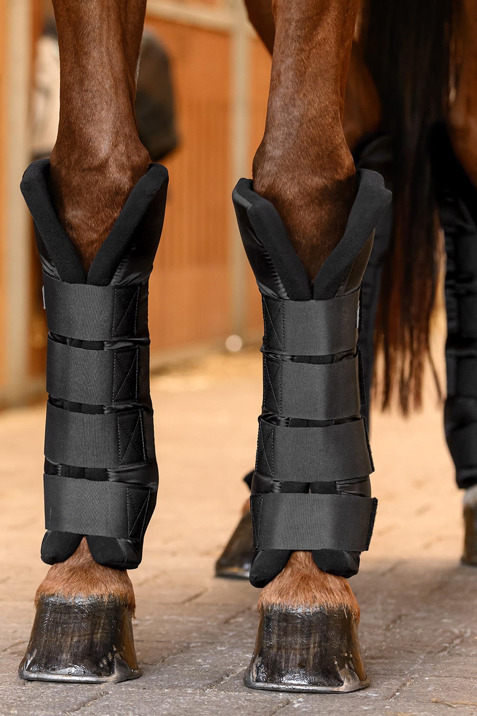 Waldhausen Stable & Transport Boots with Joint Support, hind Leg & Hoof Protection