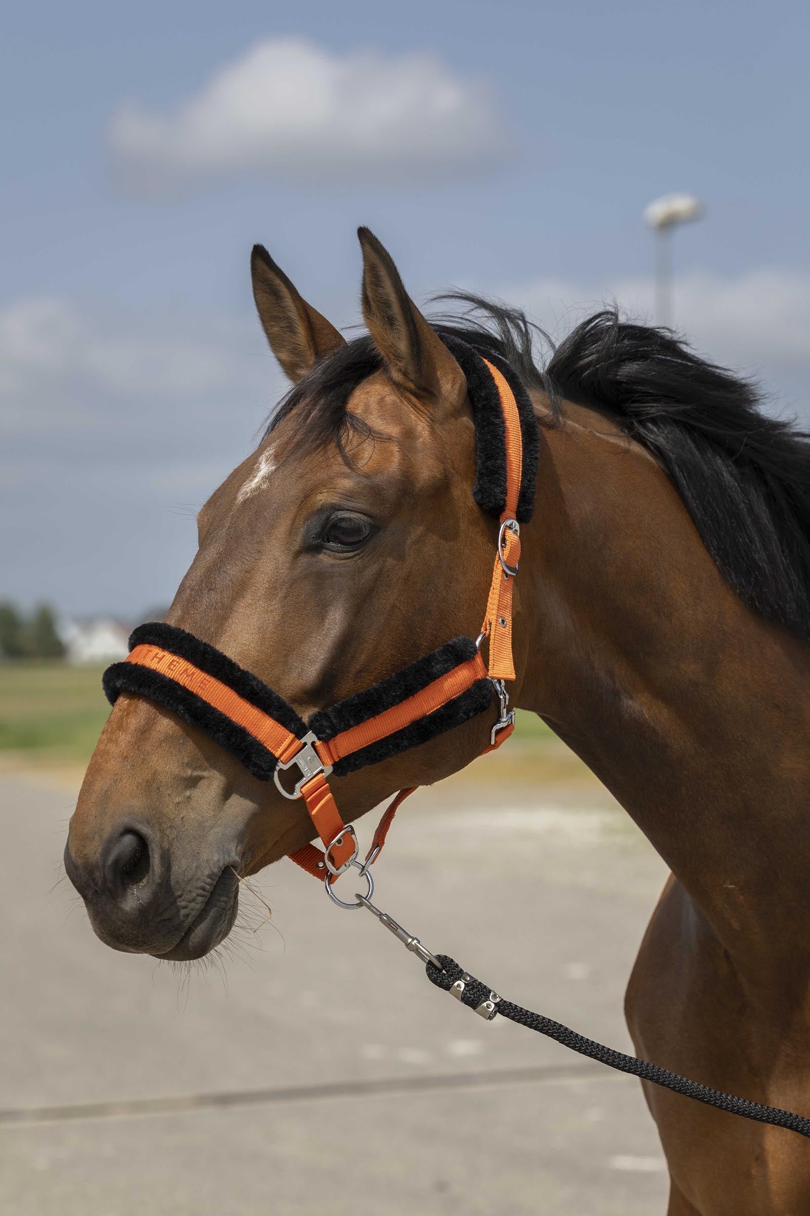 EQUITHÈME Nylon Mouton halster Halsters & Halstertouwen