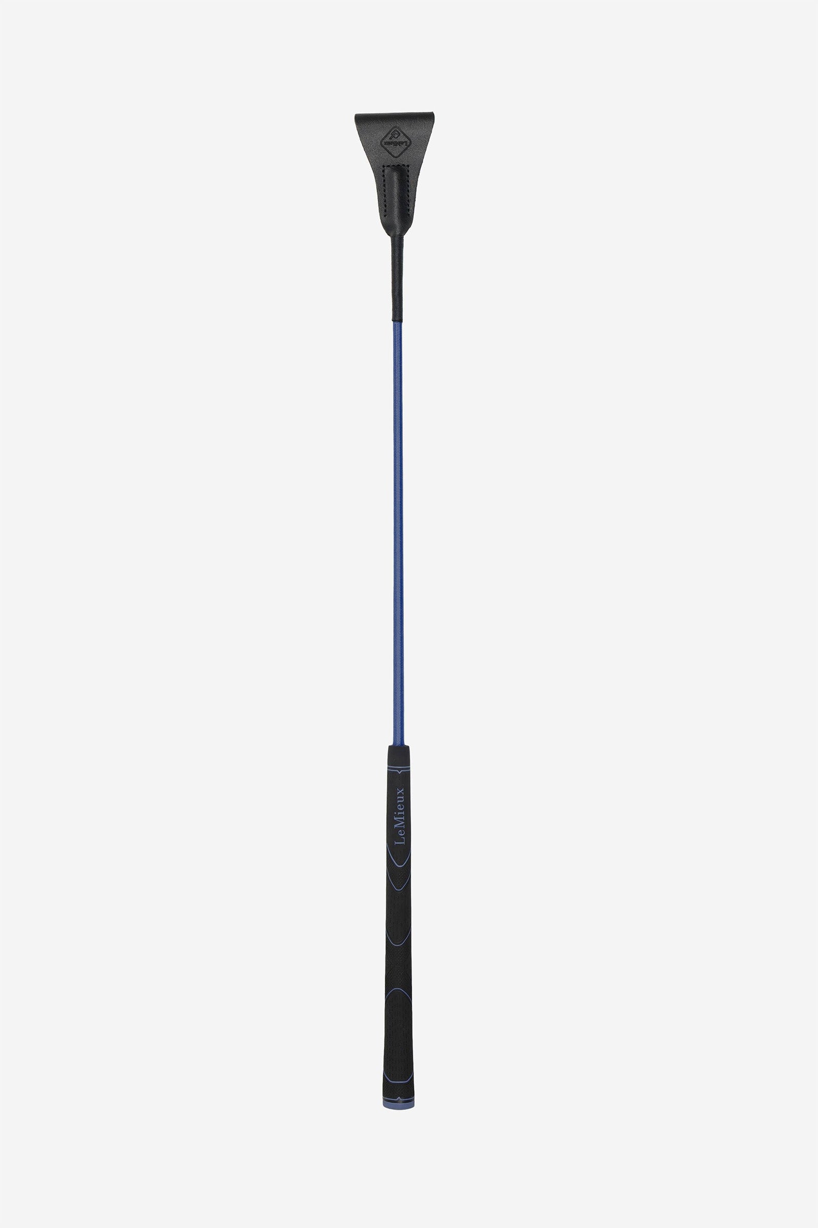 Alt Tag fallback text for IMAGE