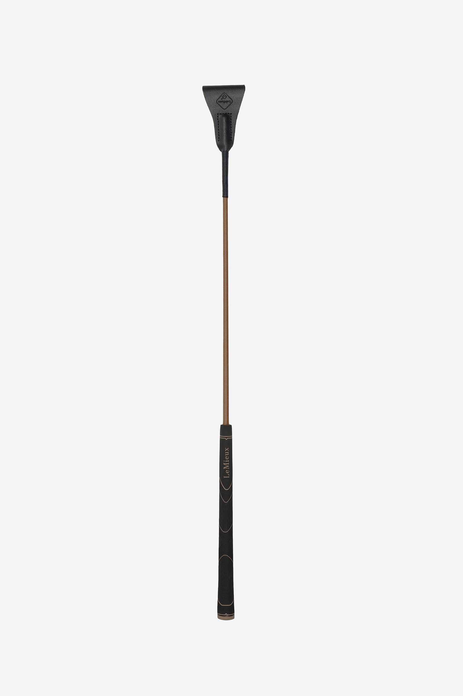 Alt Tag fallback text for IMAGE