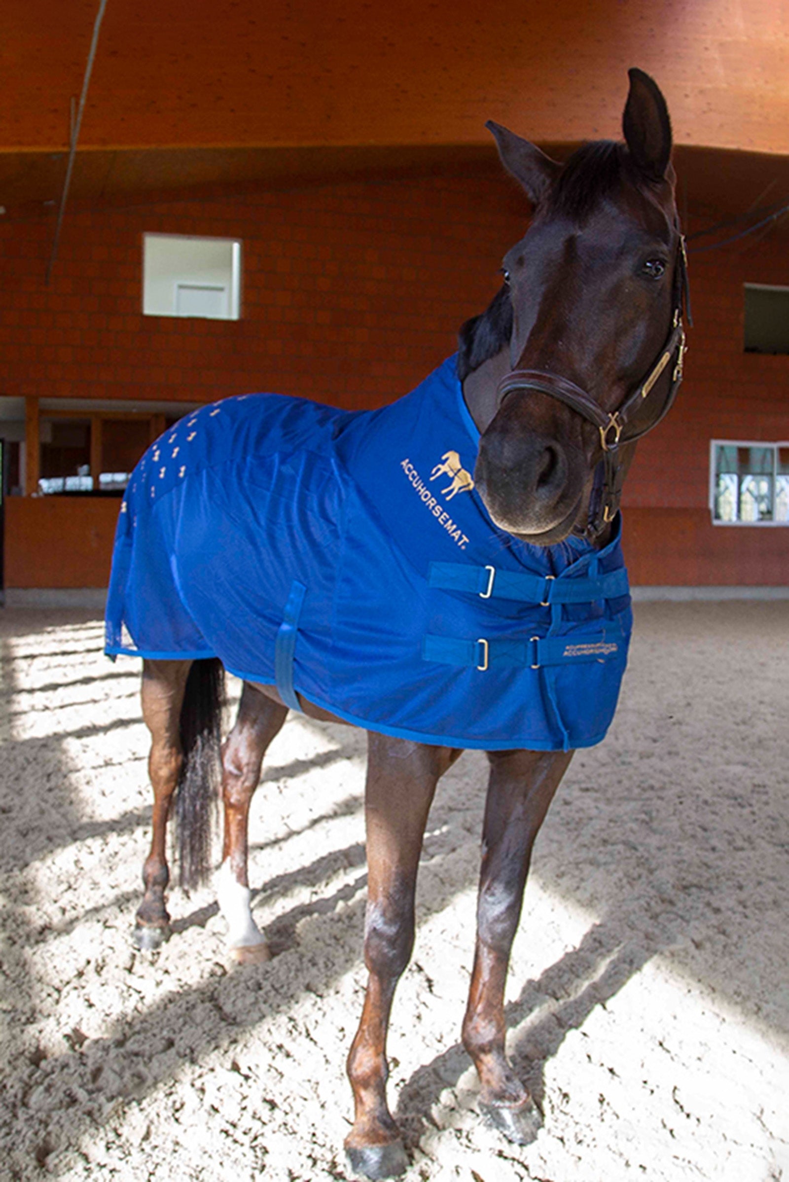 Accuhorsemat Cooler Horse Rugs