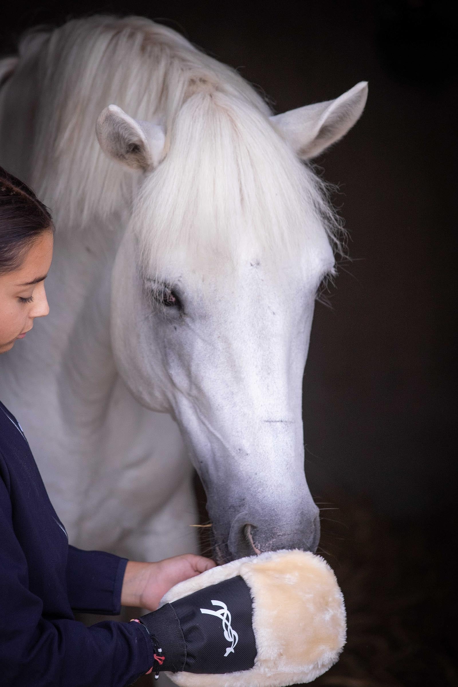 PENELOPE Grooming Glove Horse Grooming Tools