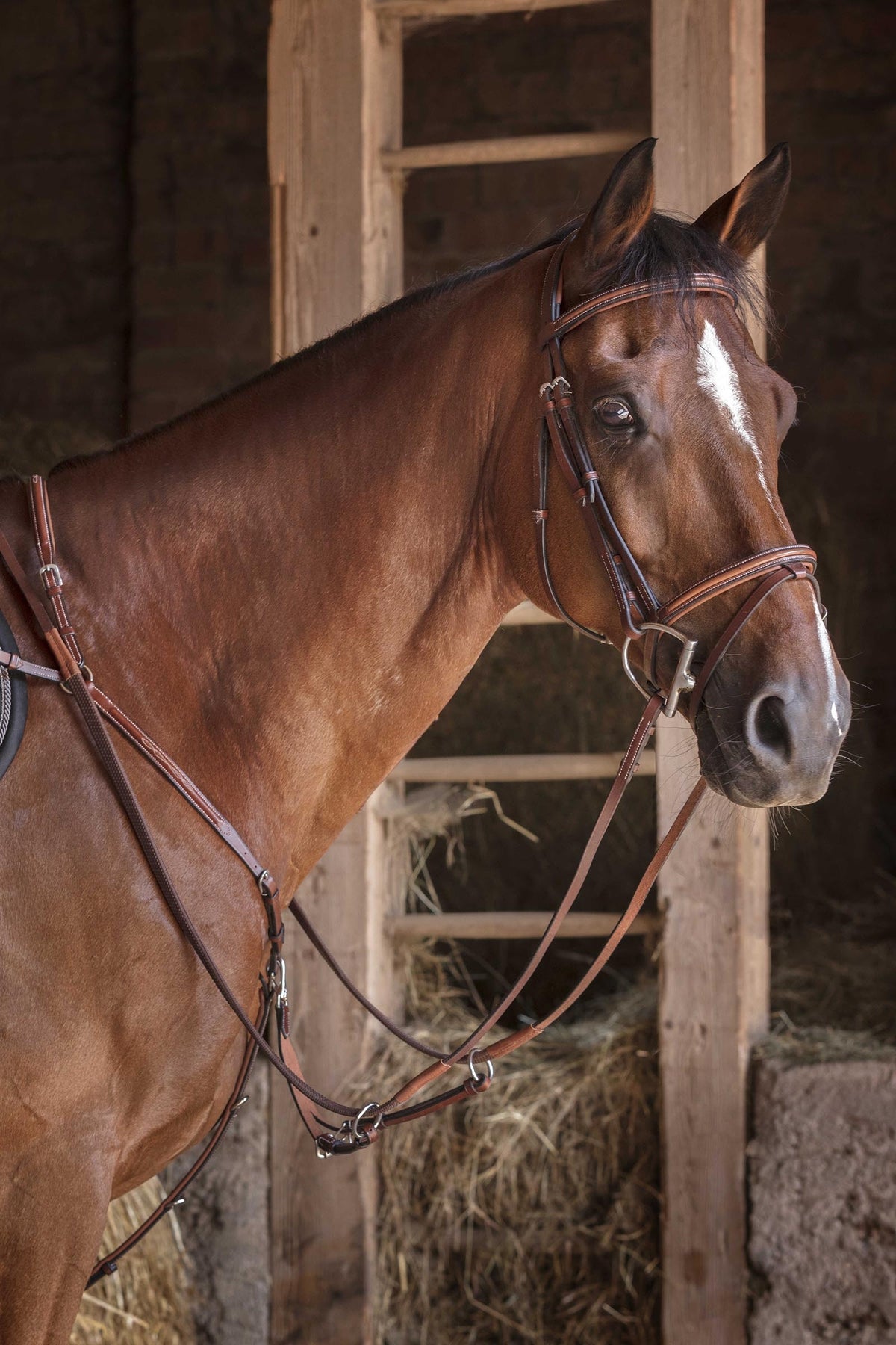 ERIC THOMAS HYBRID Breastplate Bridles & Reins