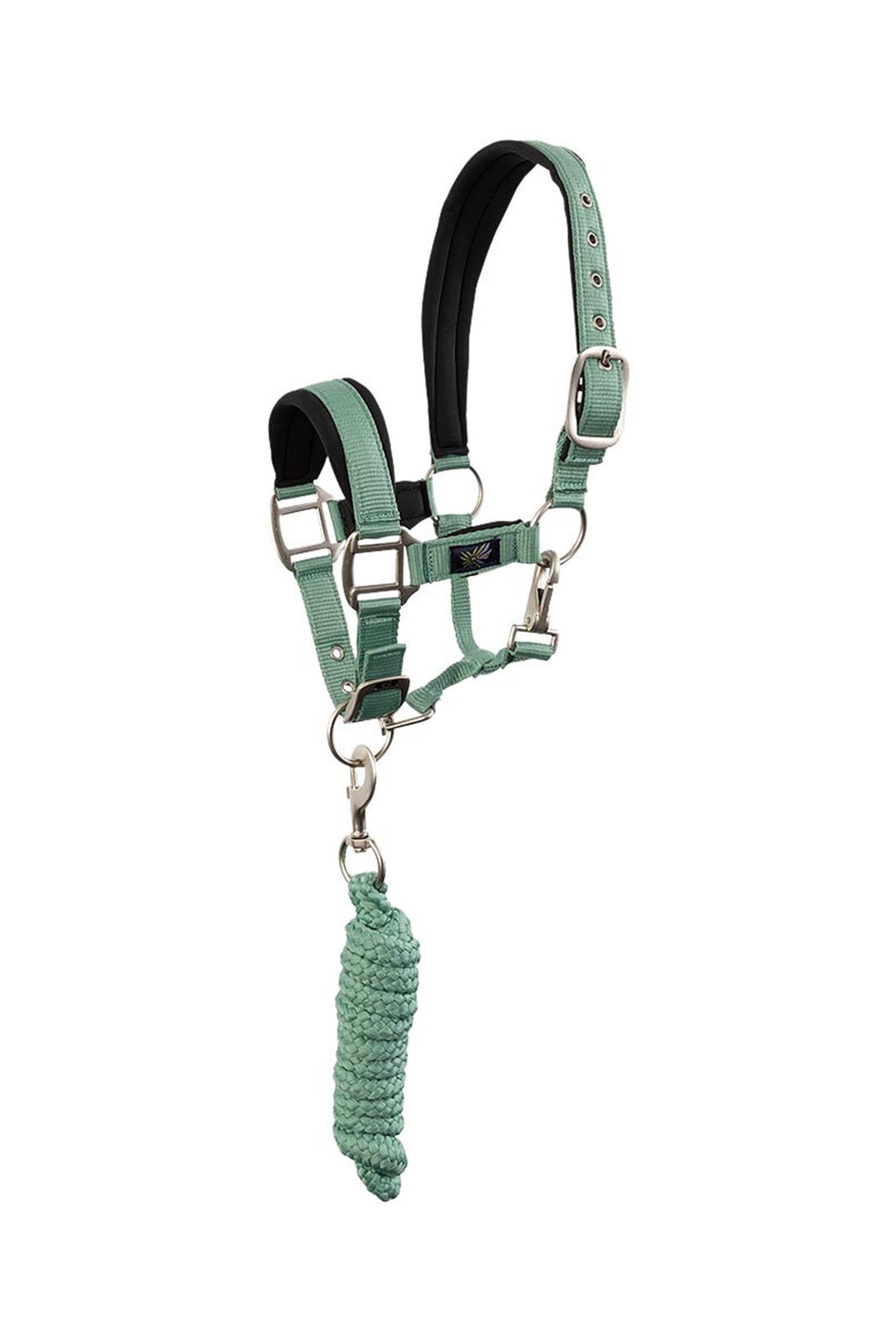 BR Pony / Mini Horse Halter With Lead Halters & Leads