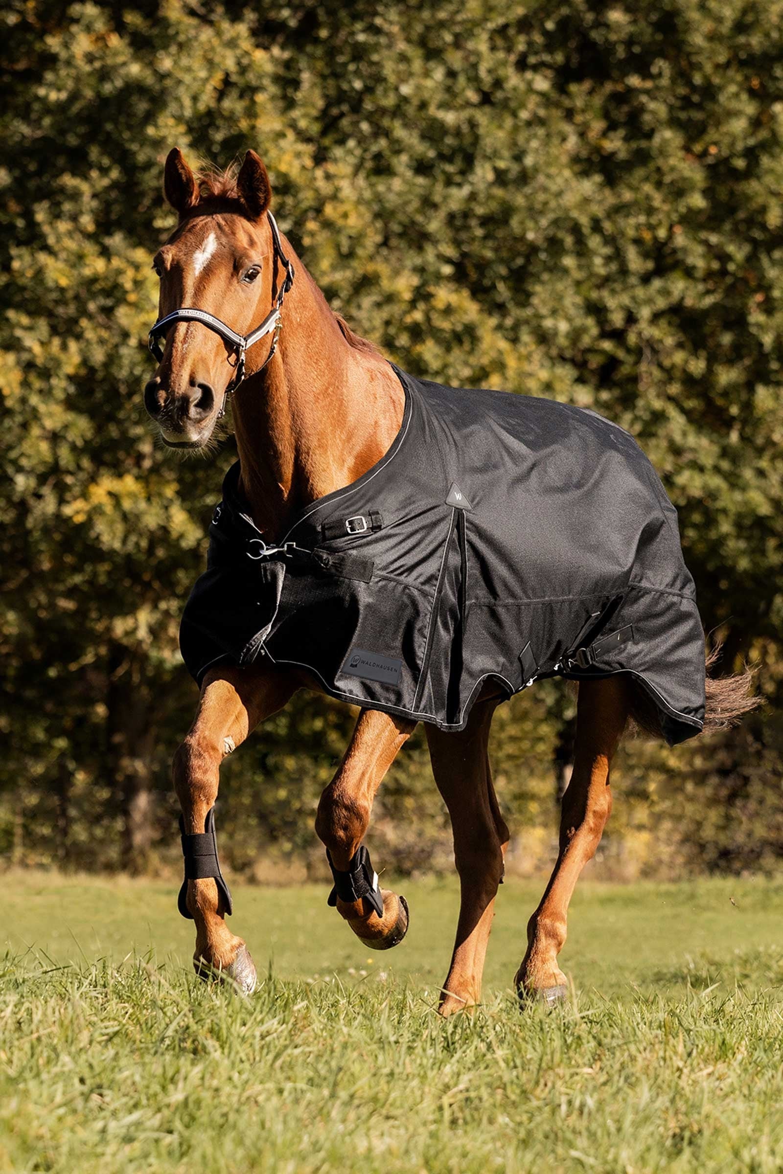 Waldhausen Scandic Turnout Rug, 200 g Horse Rugs