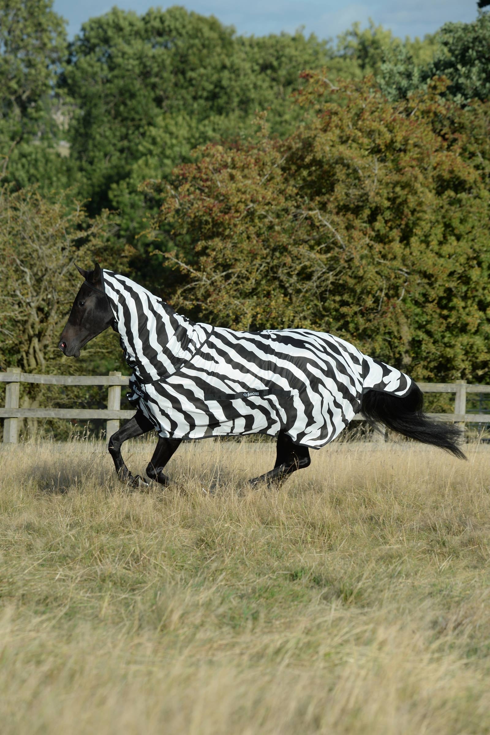 Bucas Buzz-Off Zebra Vliegendeken met vaste hals Paardendekens