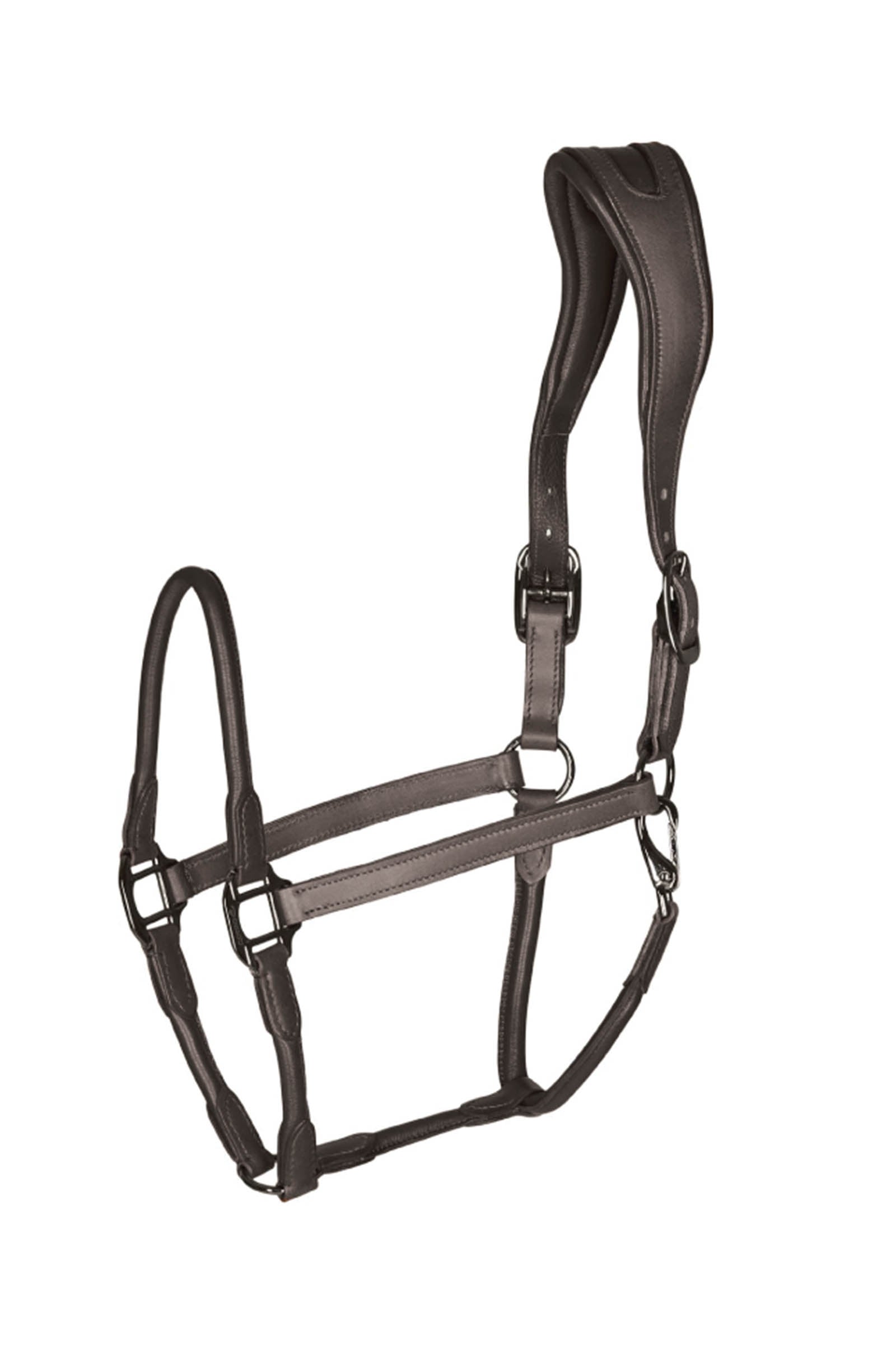 Catago leather halter with round-stitched noseband Halters & Leads