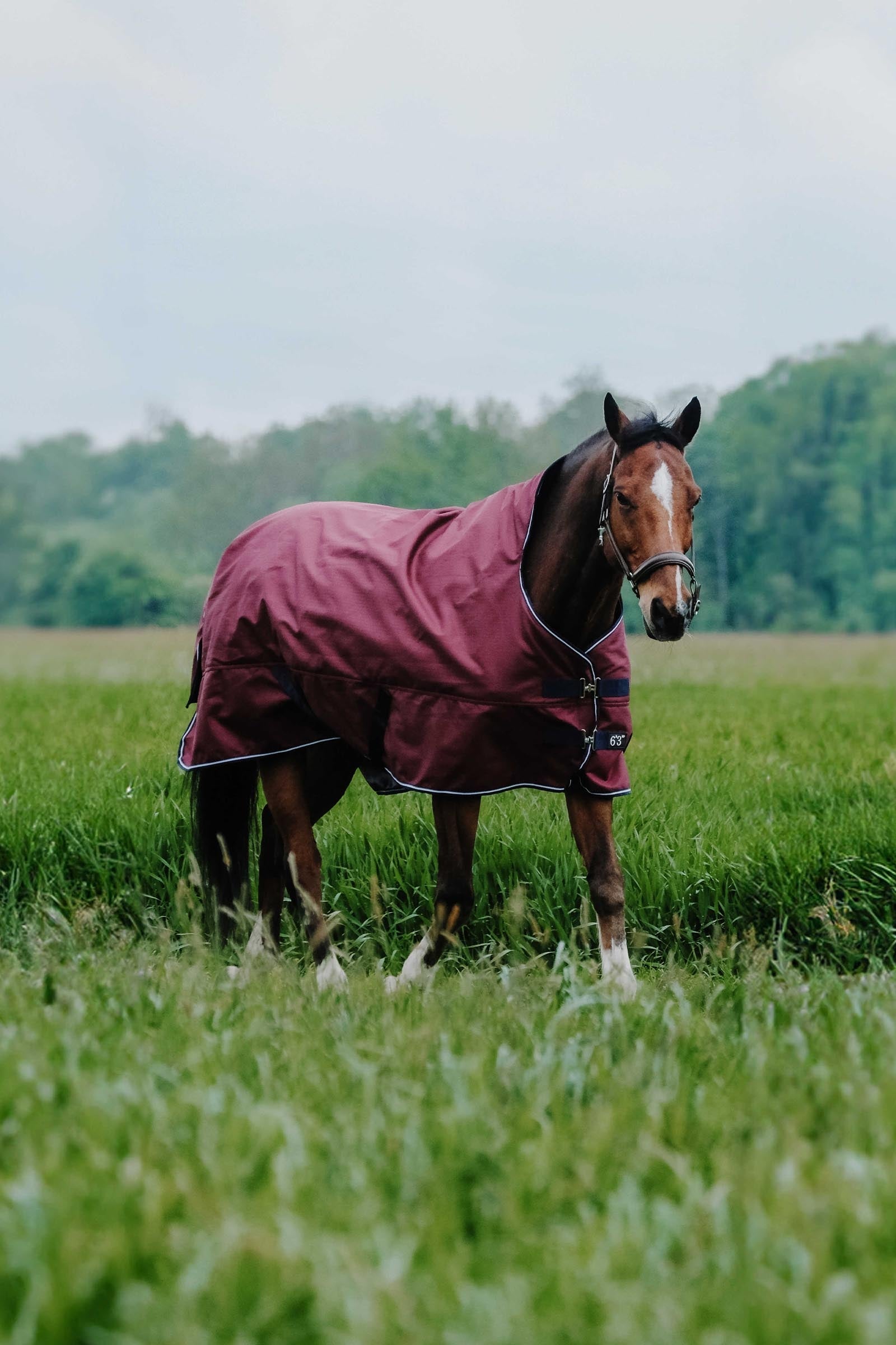 EQUITHÈME TYREX 1200D deken met hoge hals, 300 g Paardendekens