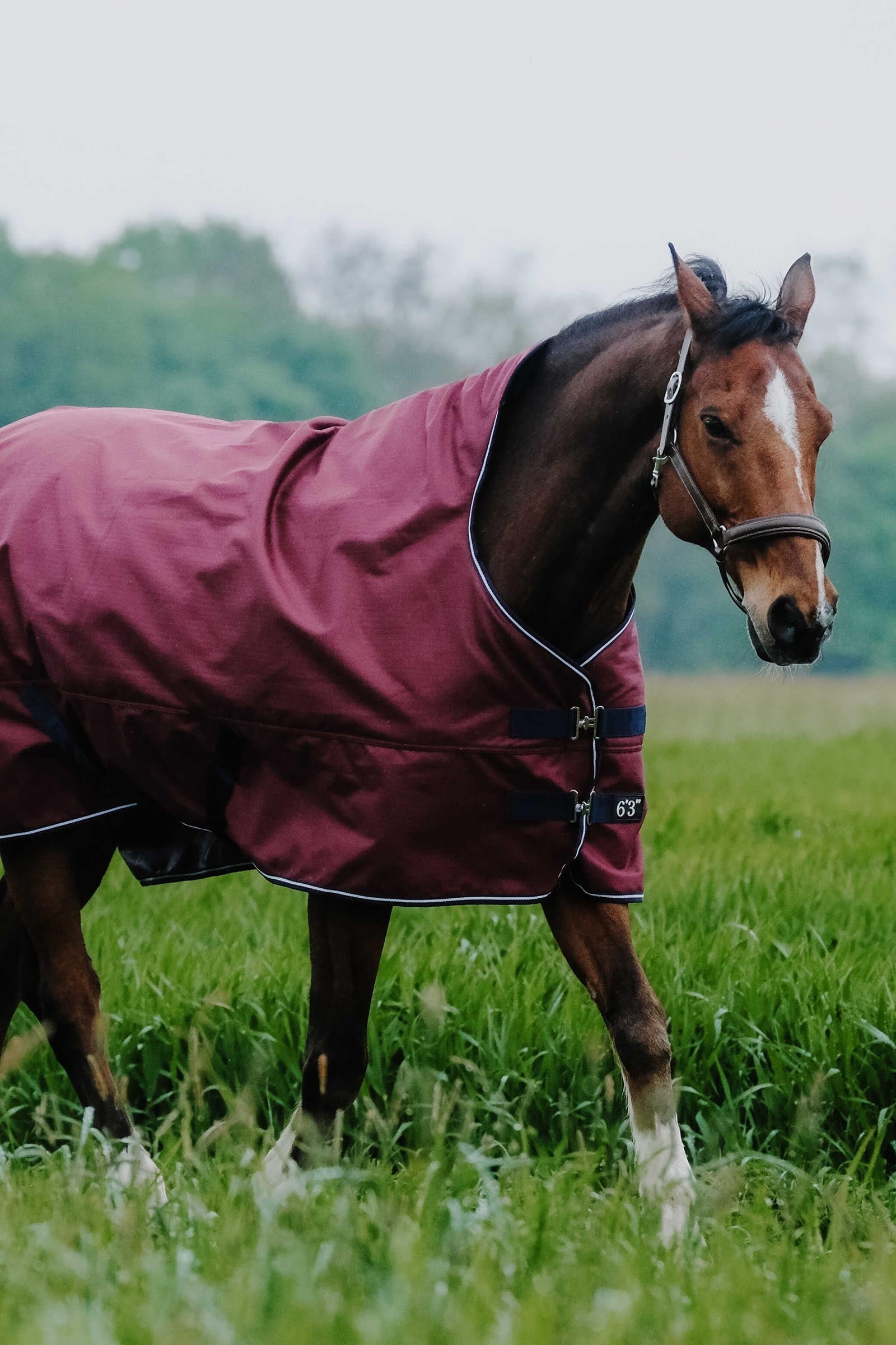 EQUITHÈME TYREX 1200D High Neck Rug, 300 g Horse Rugs