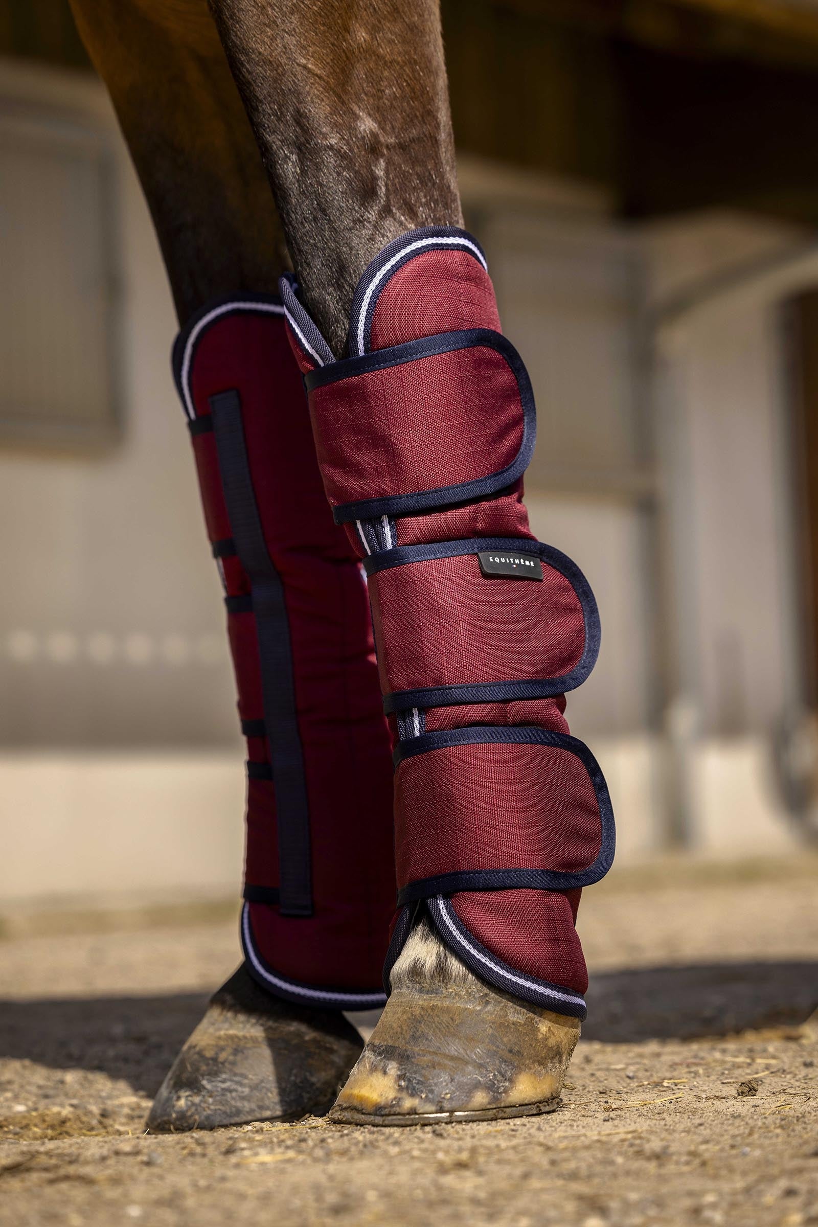 EQUITHÈME TYREX Aisance 1200D transportbeschermers Leg & Hoof Protection
