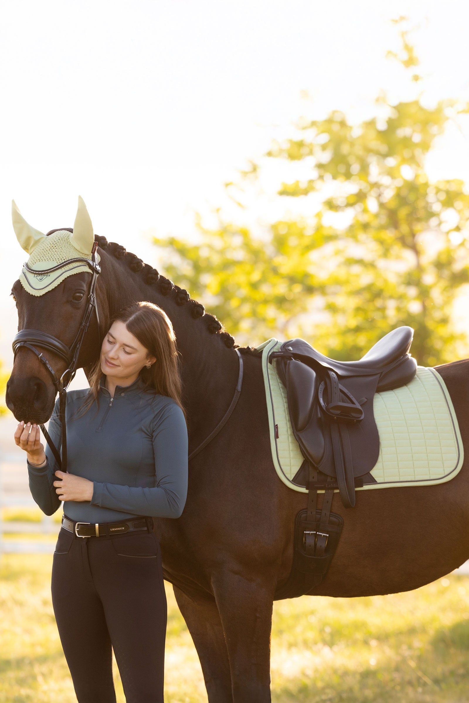 LeMieux Suede Square Dressage Saddle Pad Saddle Pads