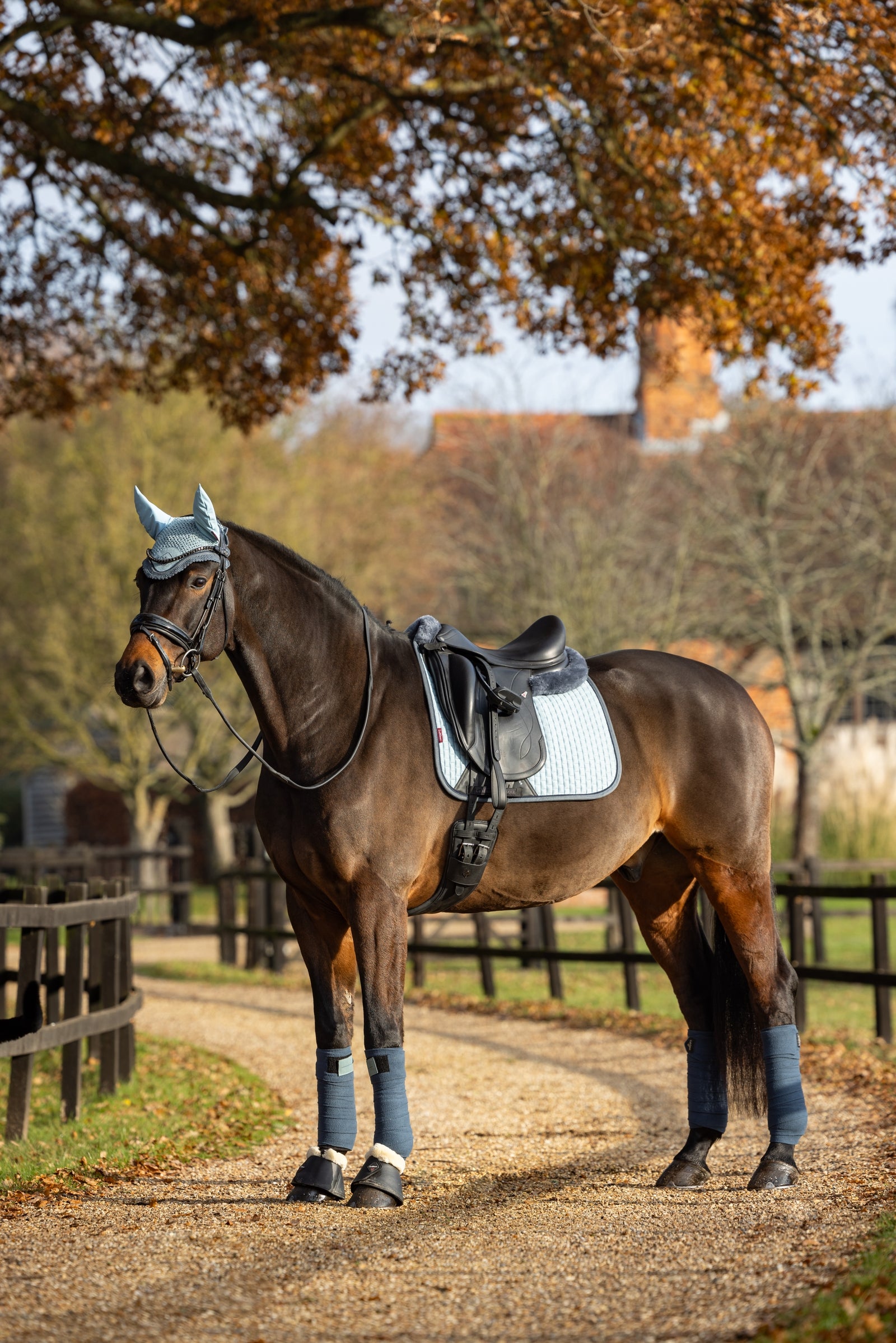 LeMieux Suede Square Dressage Saddle Pad Saddle Pads