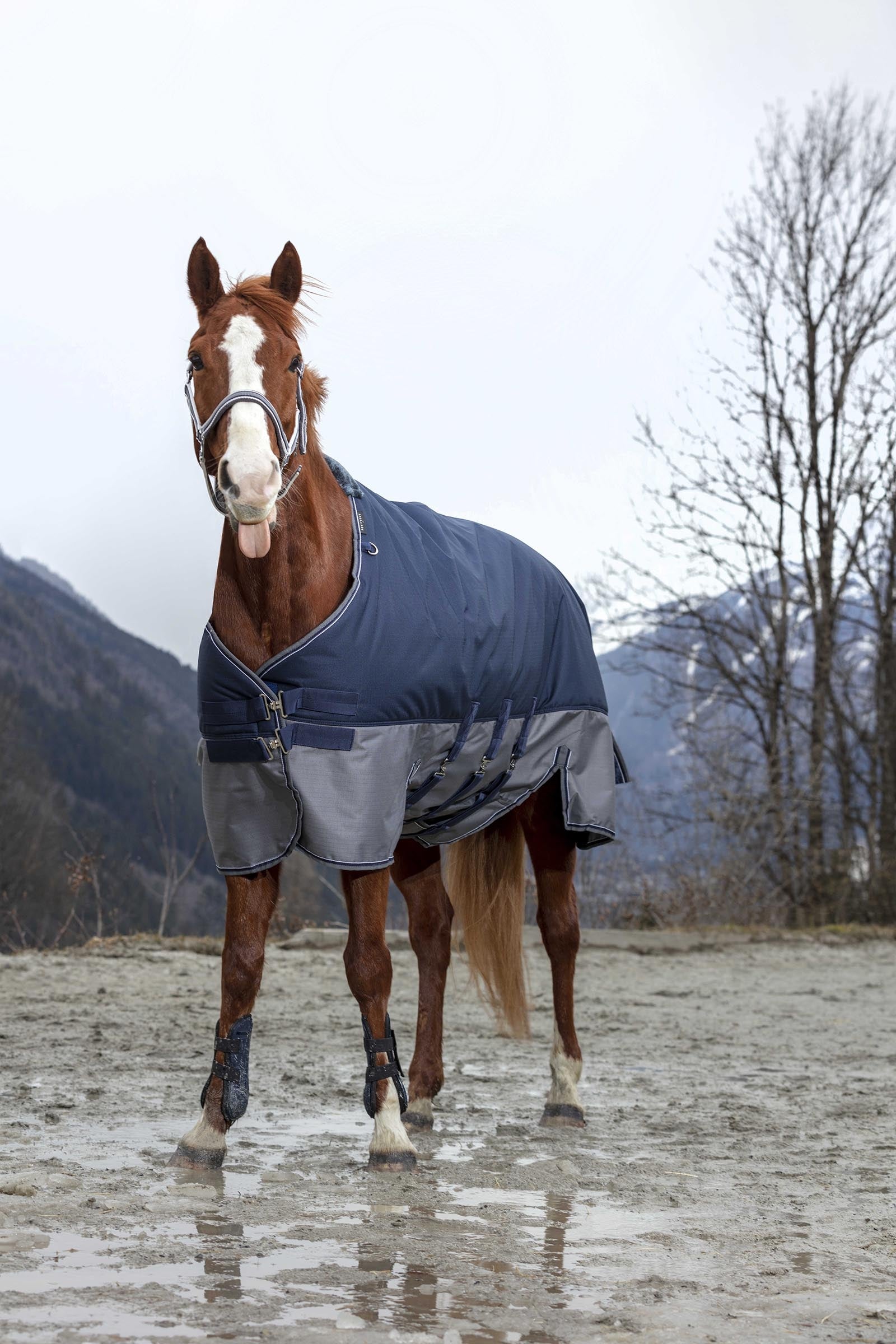 Equi Theme EQUITHÈME TYREX 600D Turnout Rug With Belly Flap, 300 g Horse Rugs