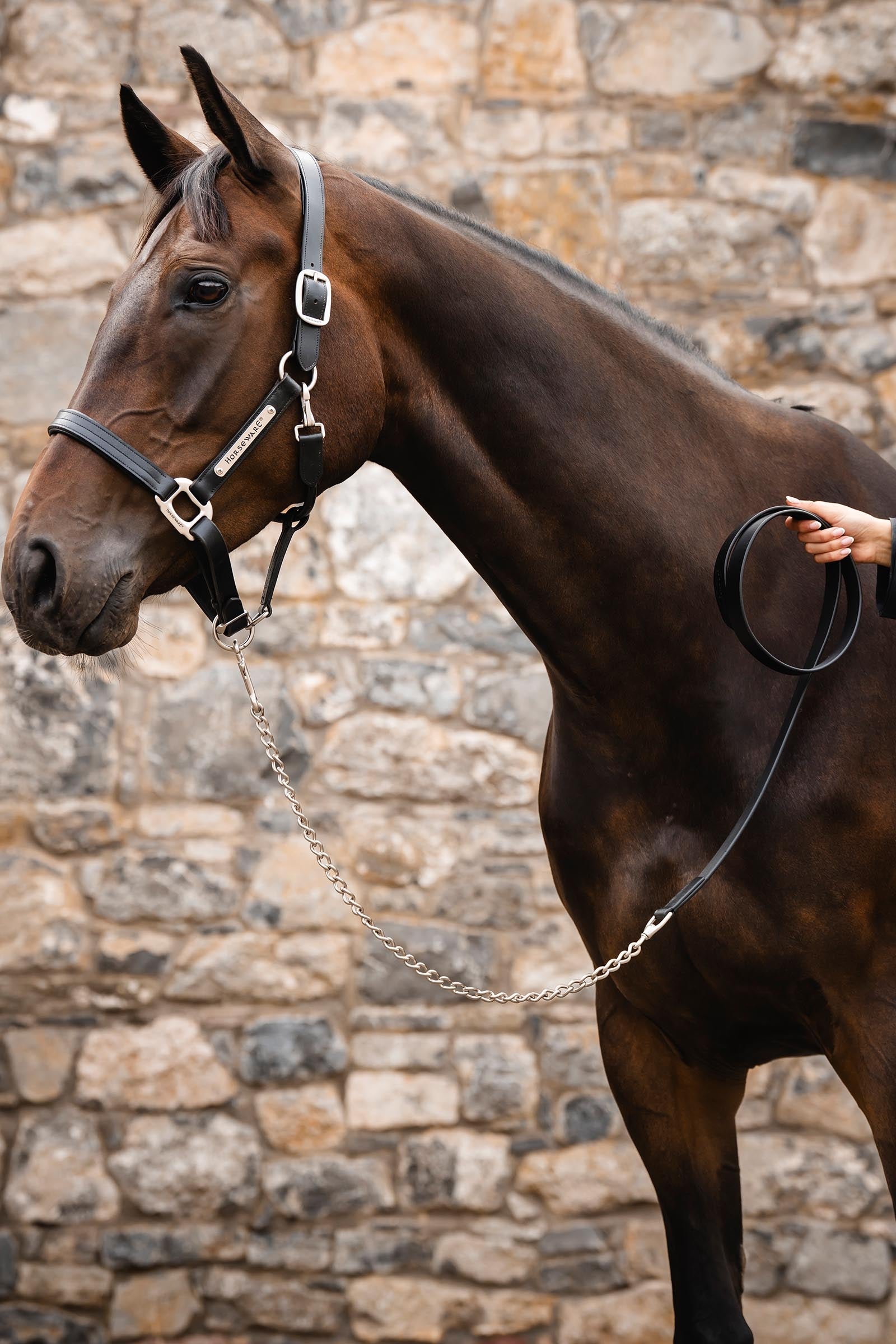 Horseware Signature Lead with Chain Halters & Leads