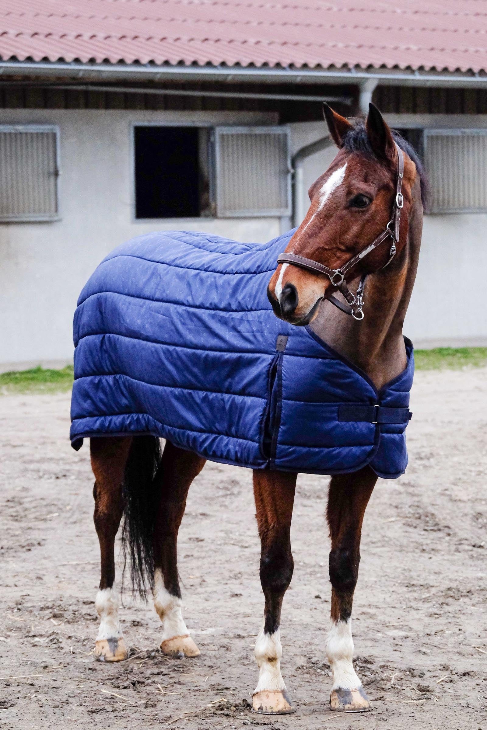 EQUITHÈME Classic onderdeken, 200 g Paardendekens