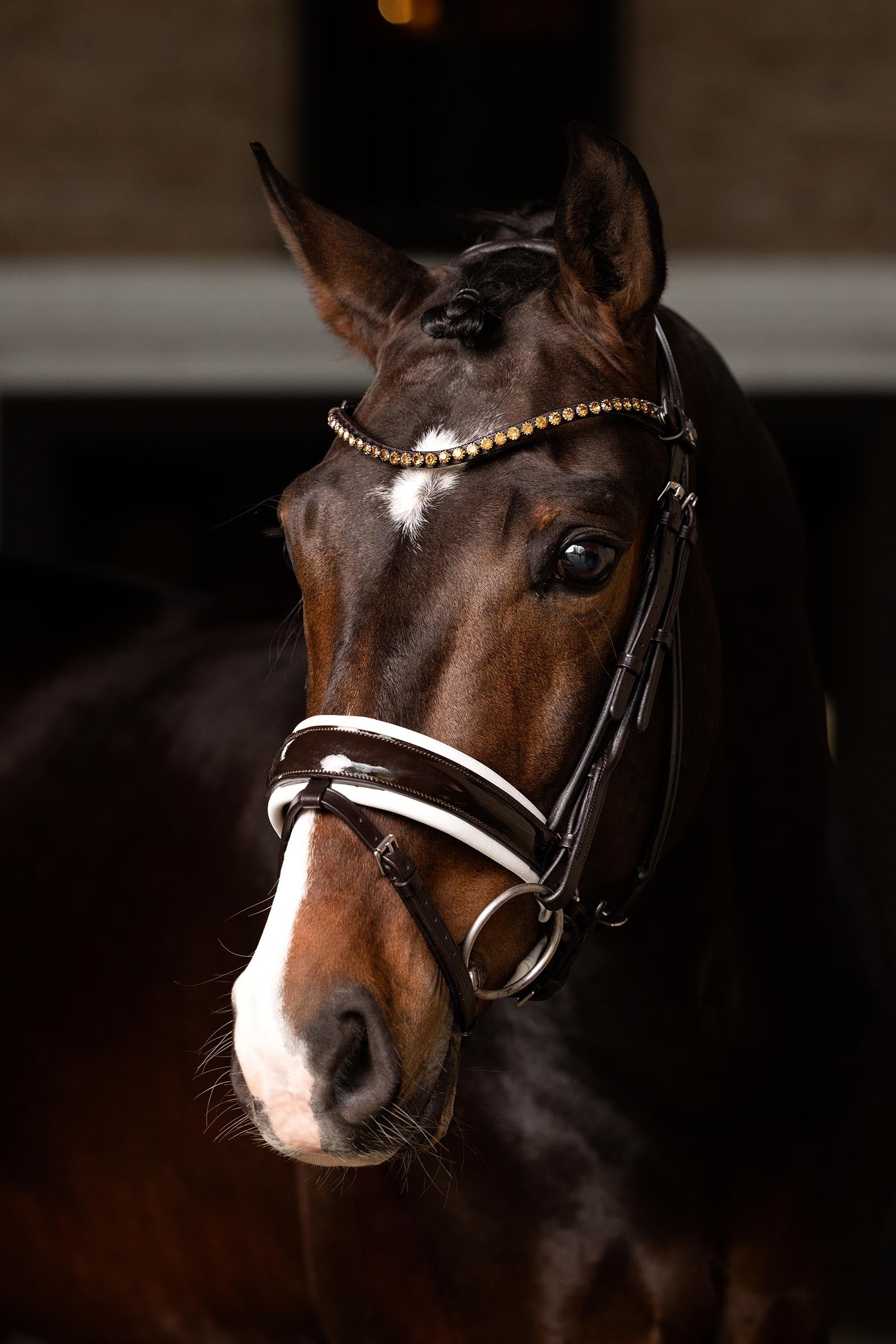 LeMieux Kudos Patent Dressage Bridle Bridles & Reins