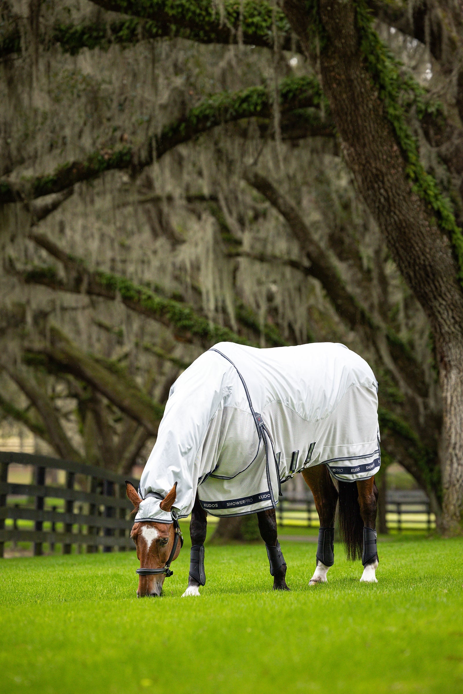 LeMieux Kudos Shower Pro Waterproof Fly Rug Horse Rugs