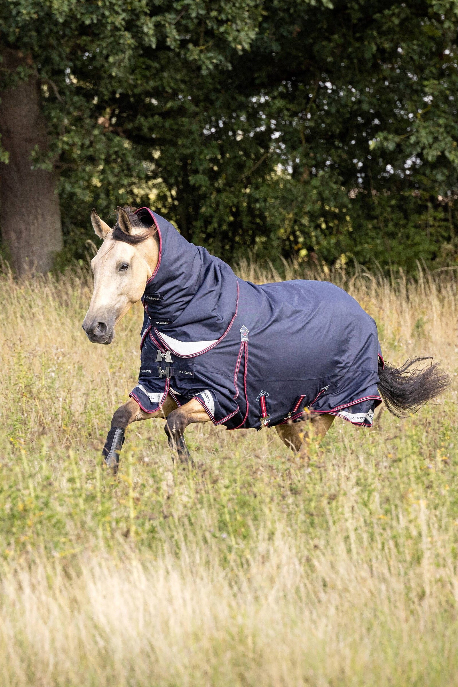 LeMieux Kudos Lightweight Turnout Rug, 50 g Paardendekens