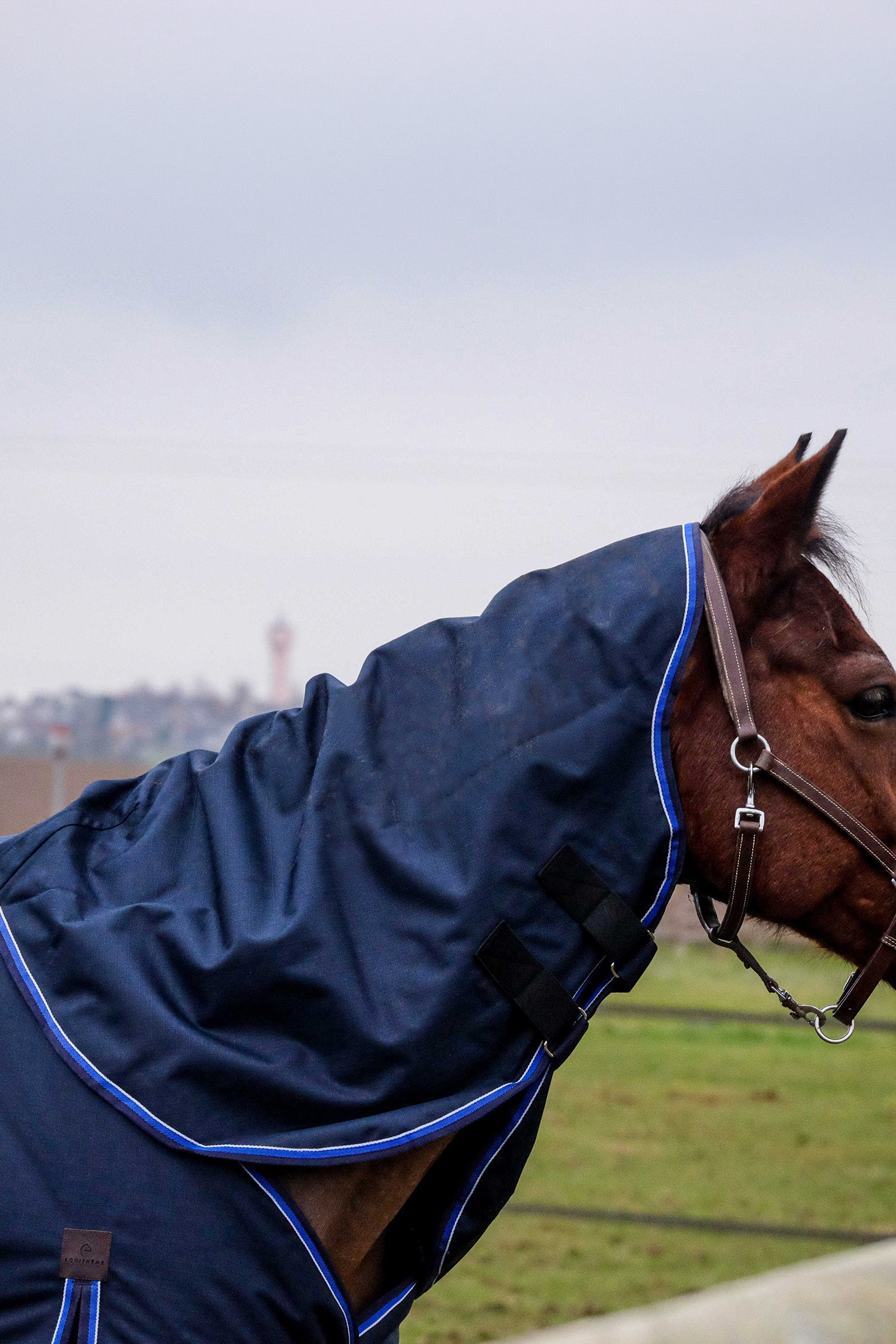 EQUITHÈME Classic 1200D halsstuk, 150 g Paardendekens