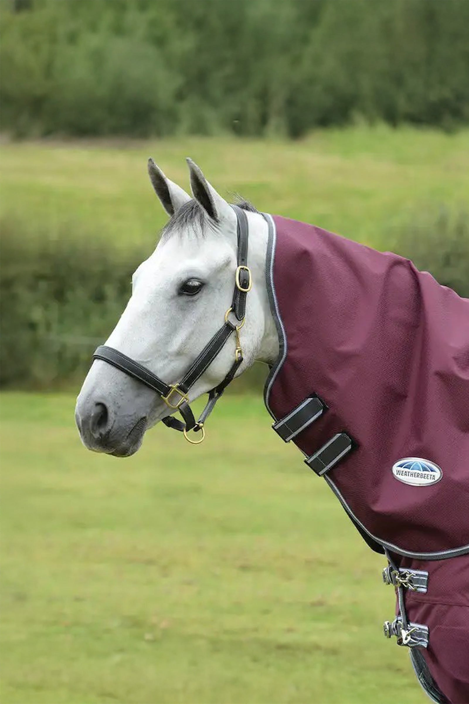 Weatherbeeta Comfitec Plus Dynamic II Medium/Lite Halsdeel, 100 g Paardendekens