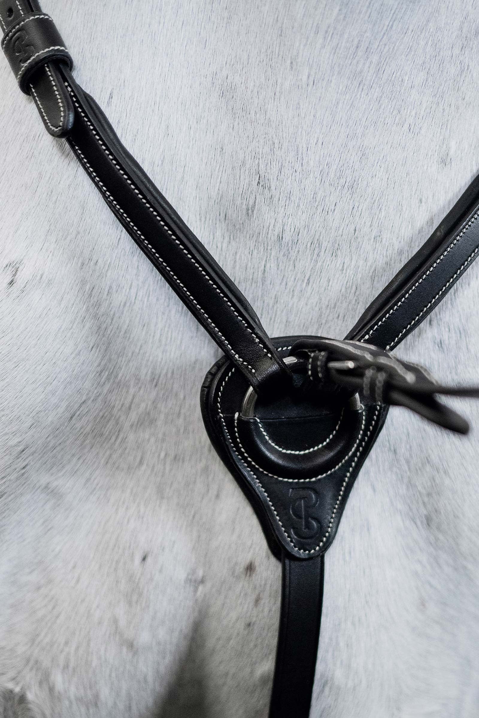 PS of Sweden Seoul Martingale Bridles & Reins
