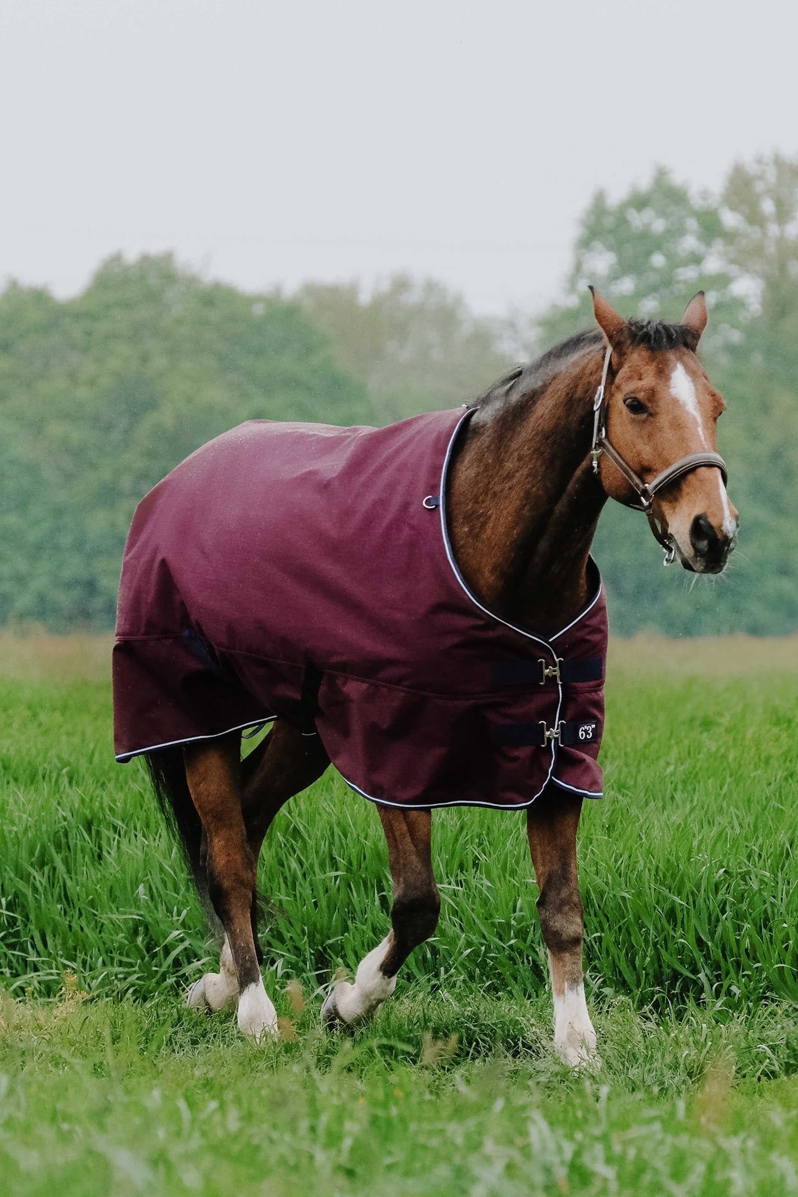 EQUITHÈME TYREX 1200D Turnout Rug, 0 g Horse Rugs