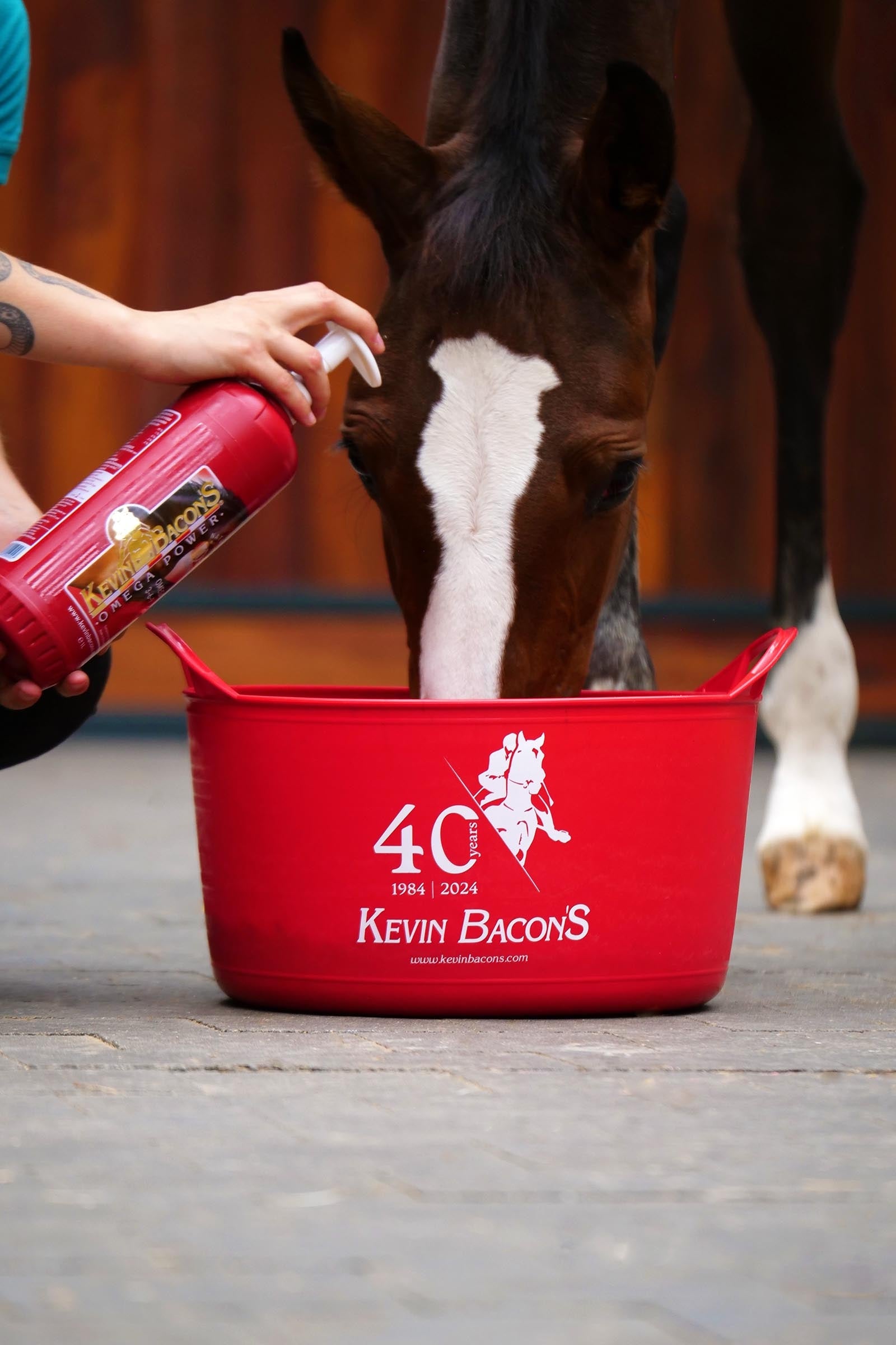 Kevin Bacon´s Kevin Bacon's Omega Power, Vitality & Energy, 1000 ml Horse Feed & Nutrition