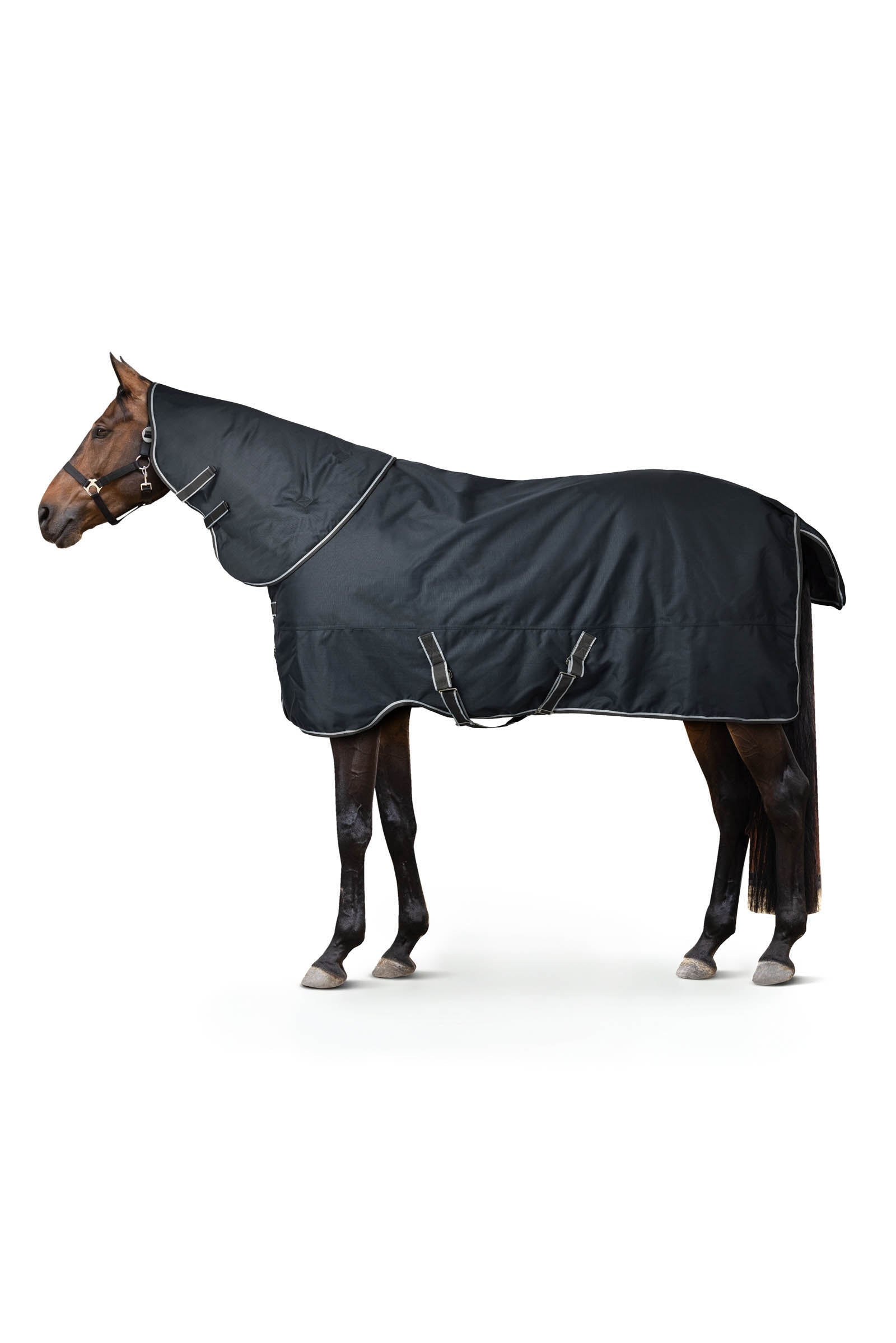 Horze Kodiak 1200D Turnout Rug With Hood, 200 g Horse Rugs