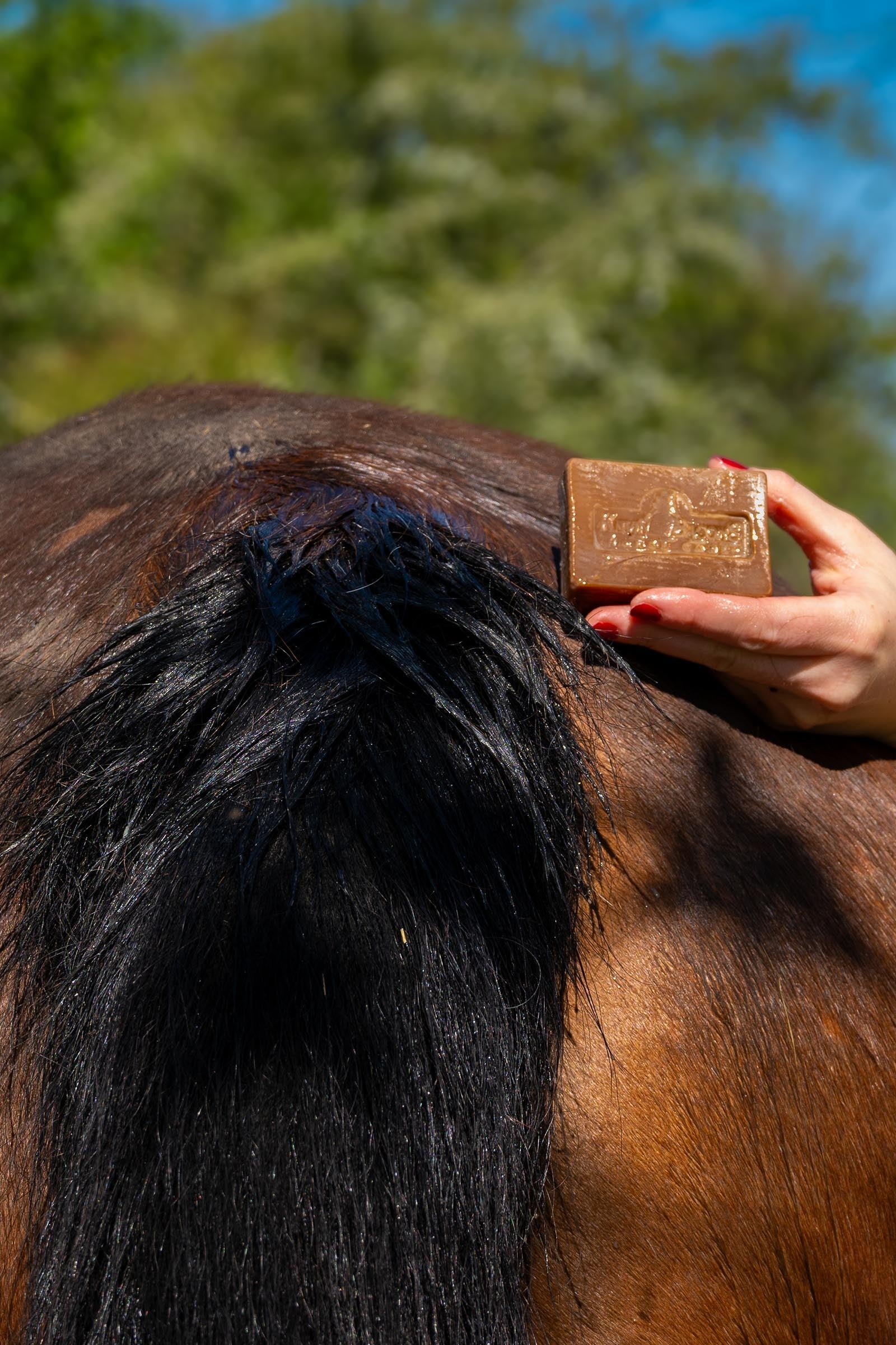 Kevin Bacon´s Kevin Bacon's Active Soap, 100g Horse Health Care