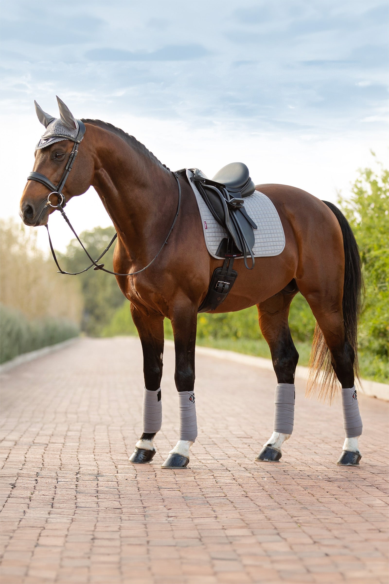 LeMieux Suede dressuurzadeldek Zadeldekjes