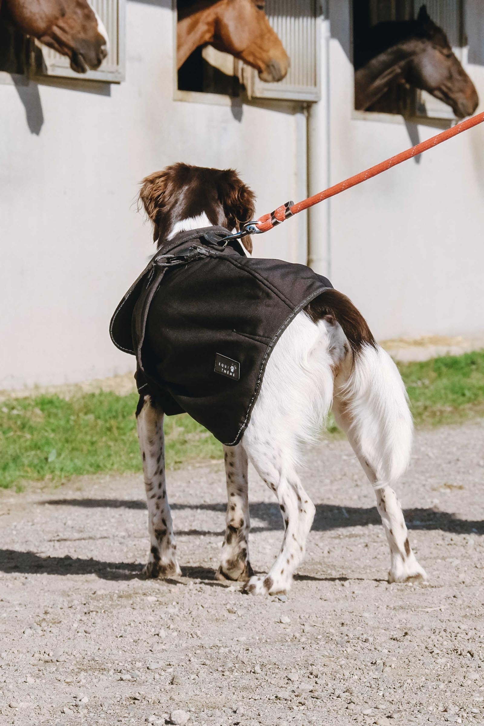 EQUITHÈME Softshell Dog Rug Dog Accesories