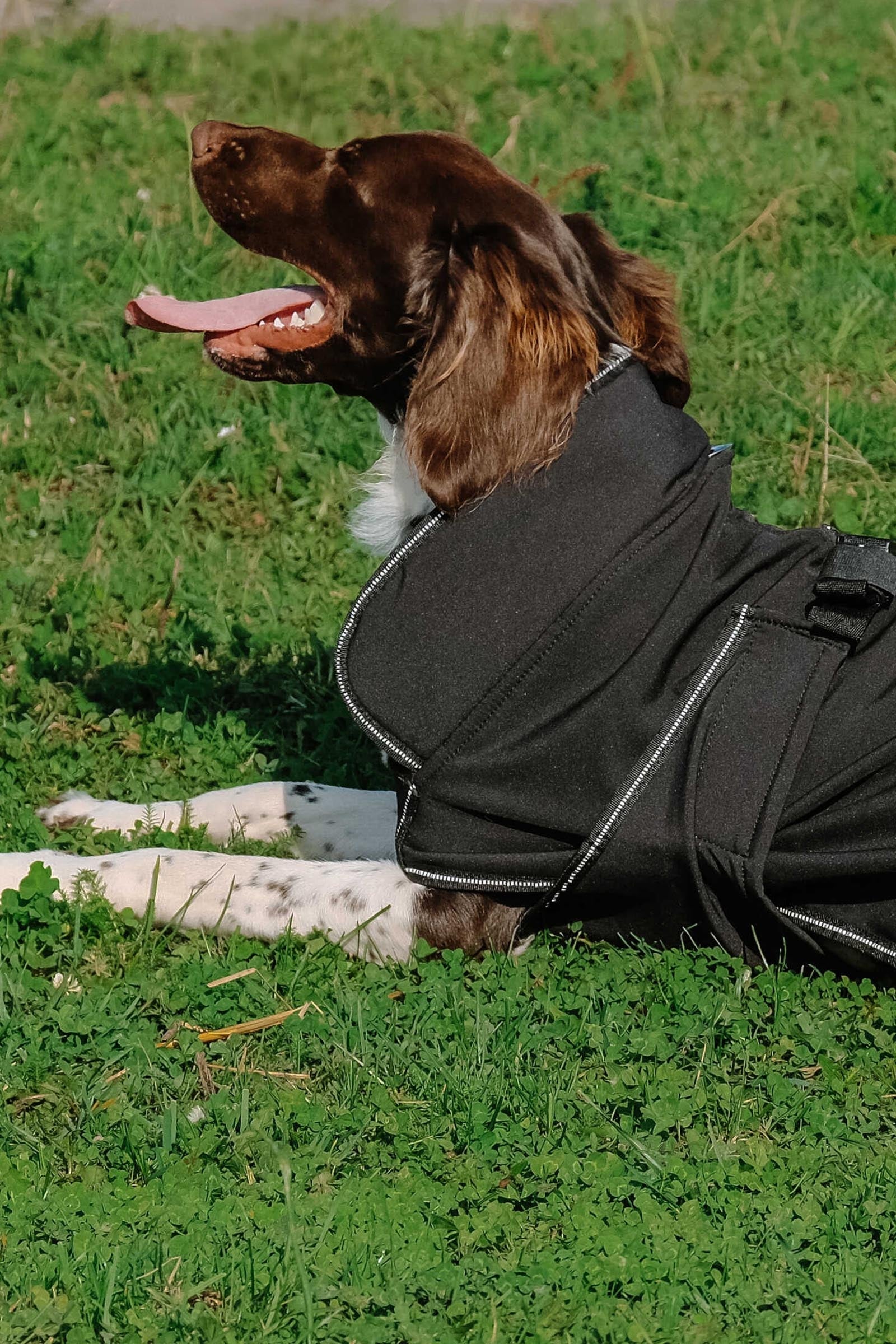 EQUITHÈME Softshell Dog Rug Dog Accesories
