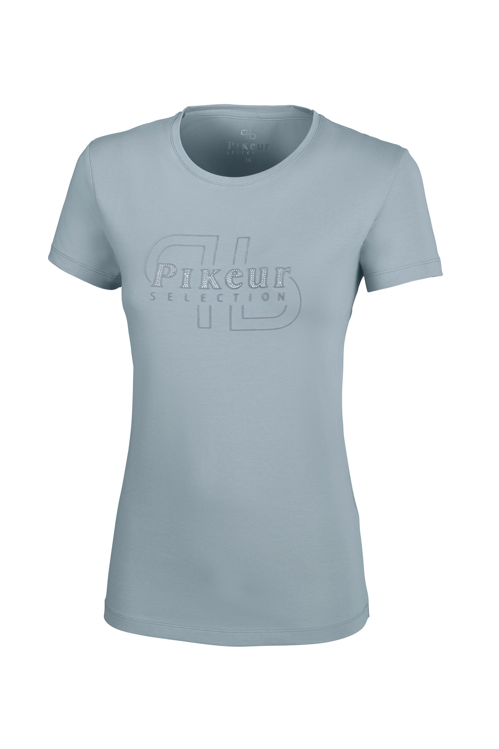 Alt Tag fallback text for IMAGE