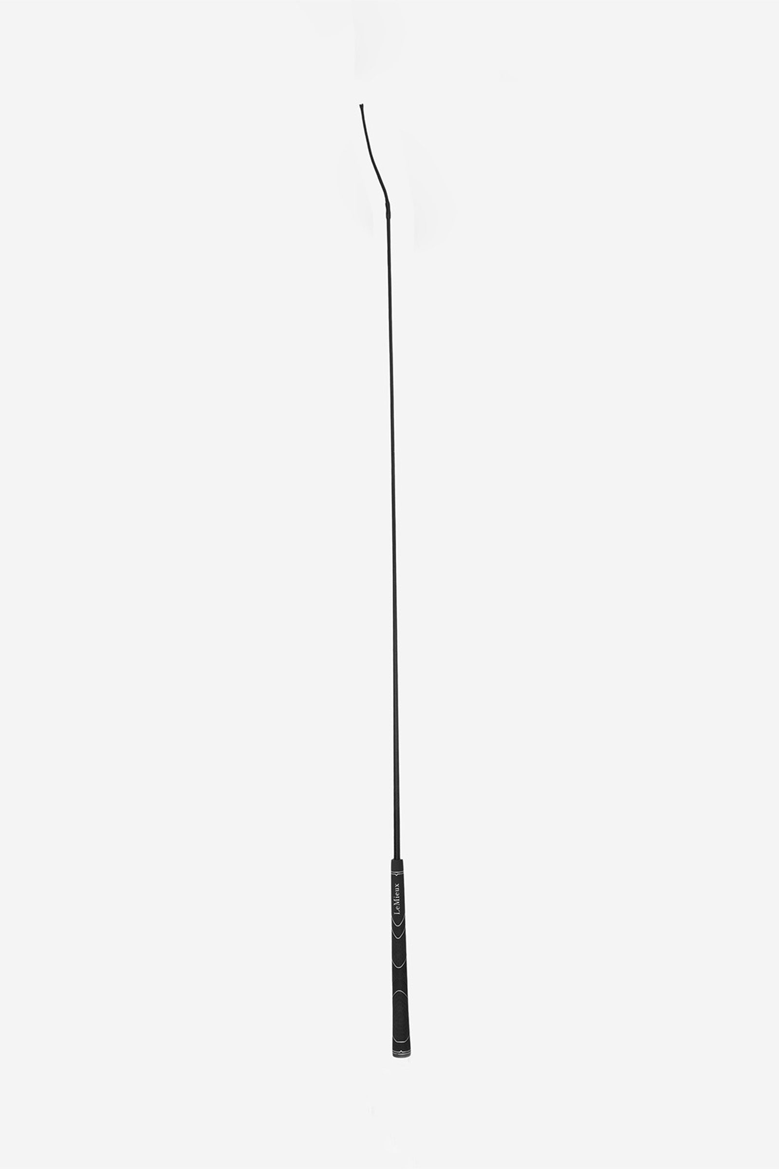 Alt Tag fallback text for IMAGE