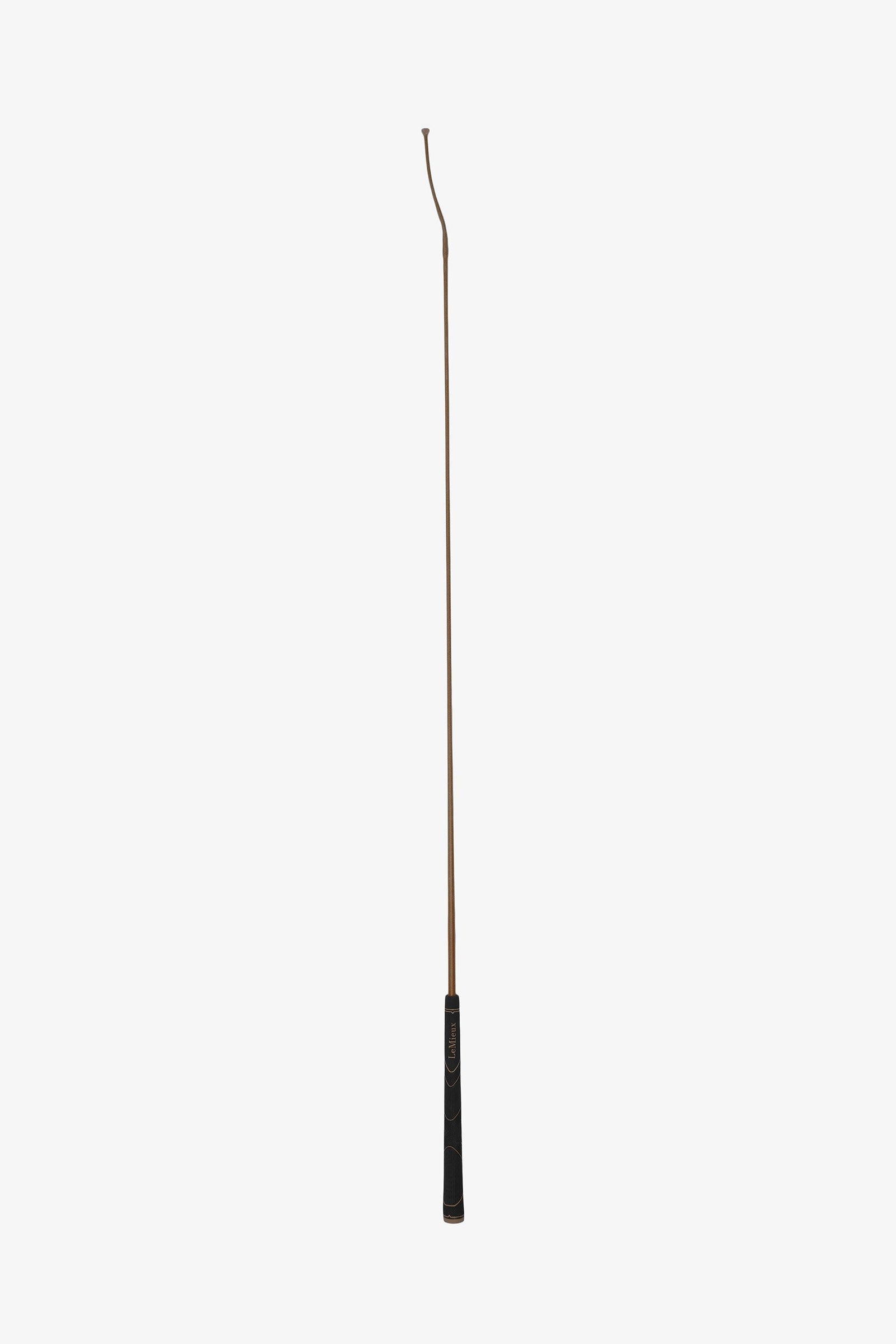 Alt Tag fallback text for IMAGE