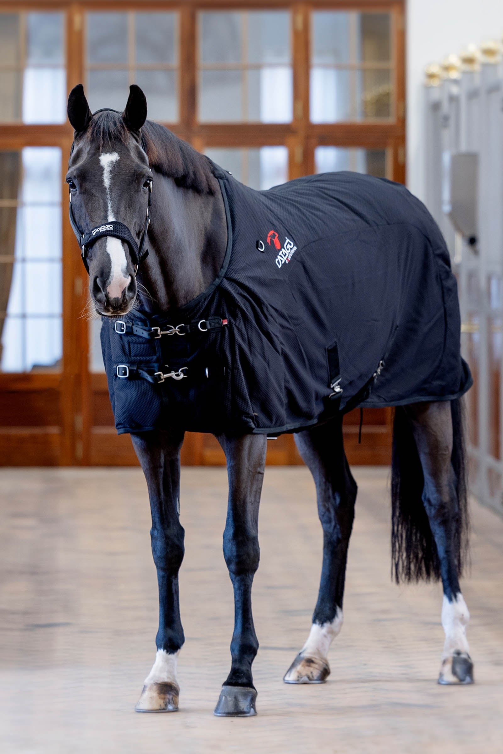 Catago CATAGO FIR-Tech deken Paardendekens