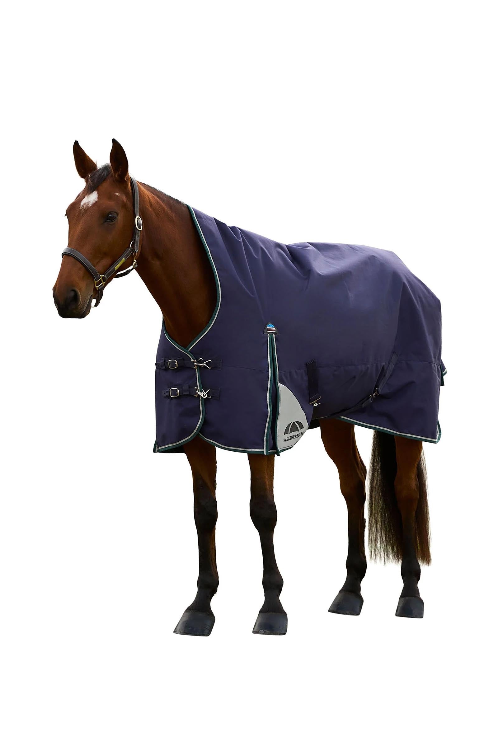Weatherbeeta Comfitec Plus Dynamic Turnout Rug High Neck 220g Paardendekens