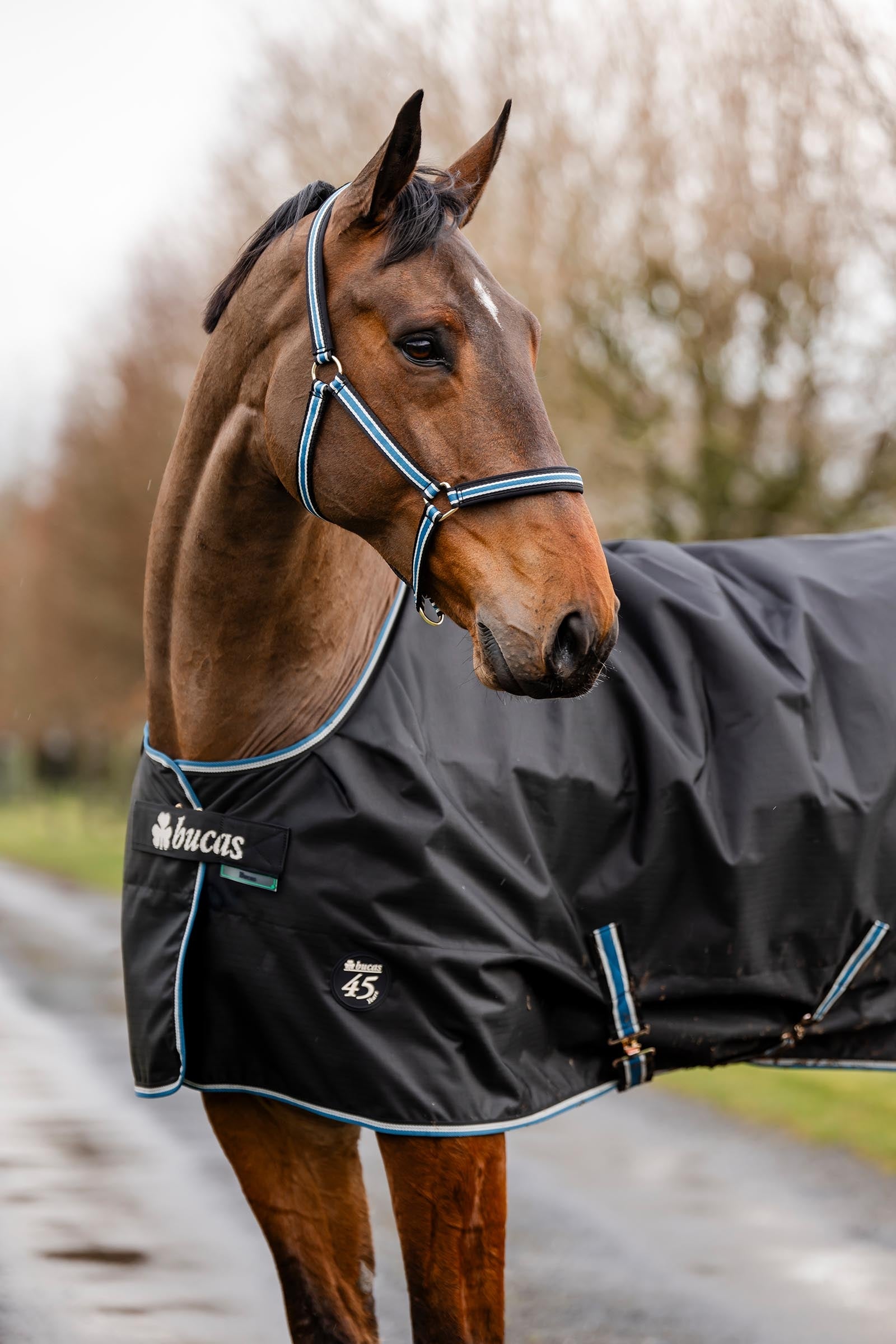 Bucas Anniversary Light SD Turnout Rug, 150g Horse Rugs