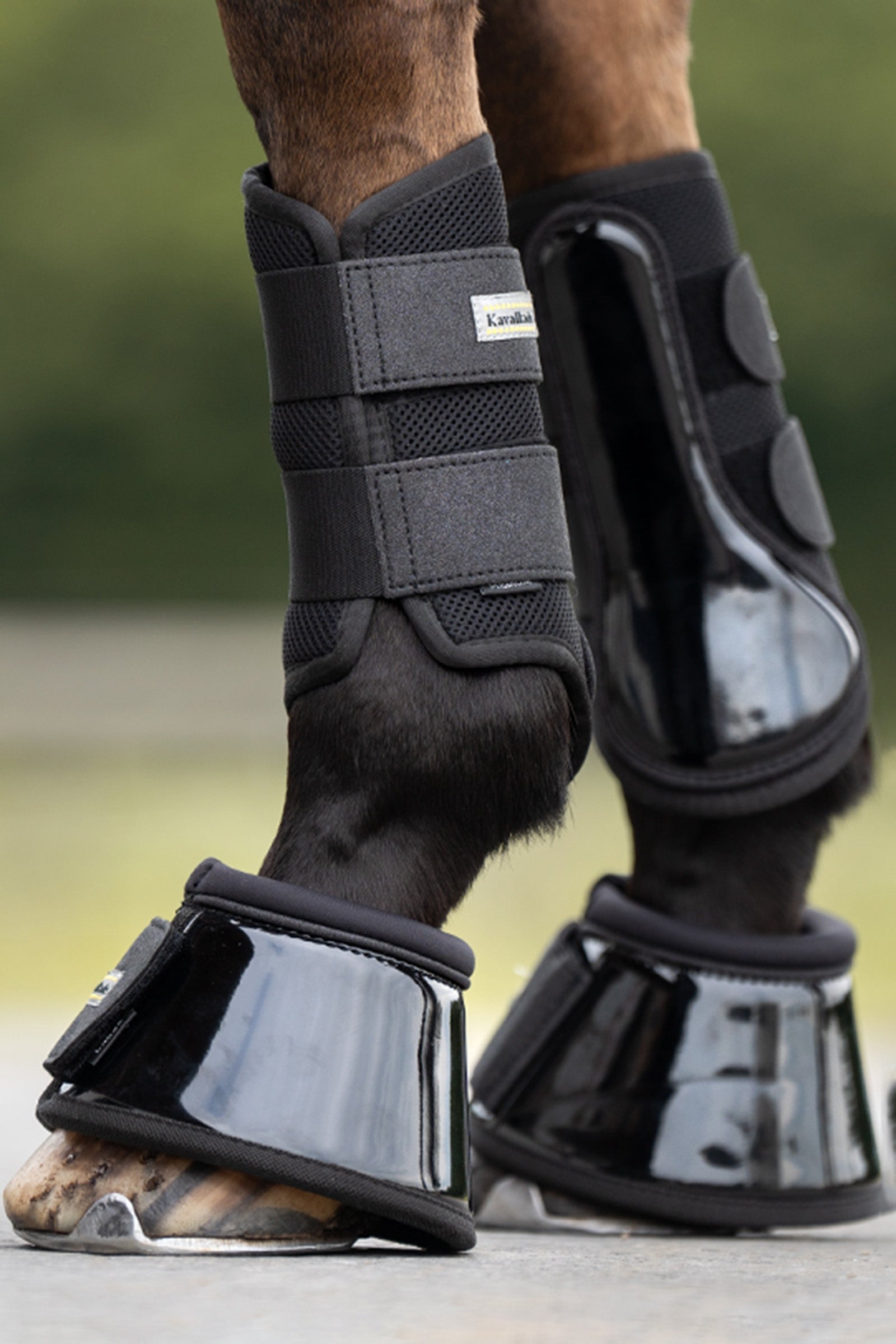 Kavalkade Star Over Reach Boots (1 Pair) Leg & Hoof Protection