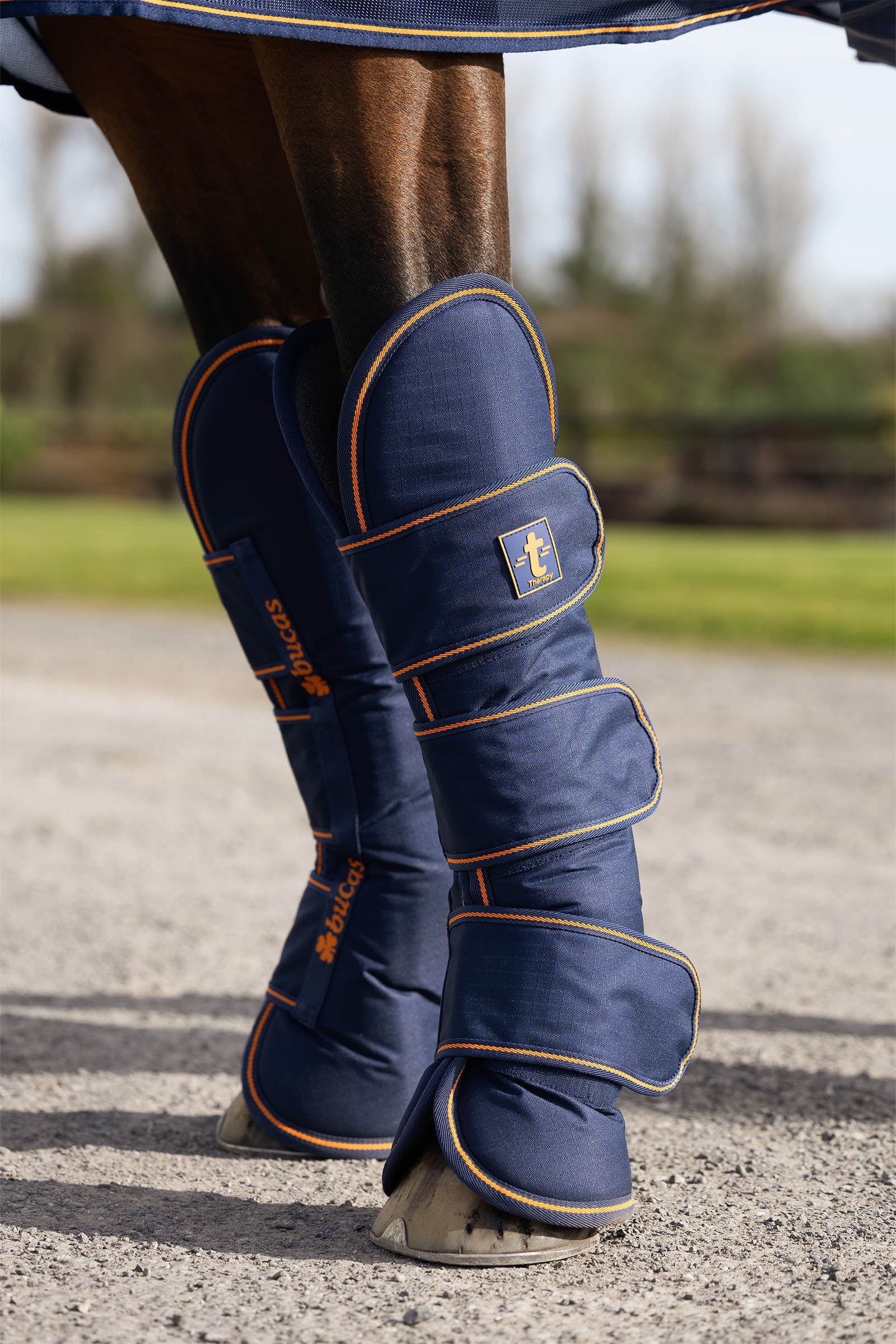 Bucas Therapy Travel Boots (Set of 4) Leg & Hoof Protection