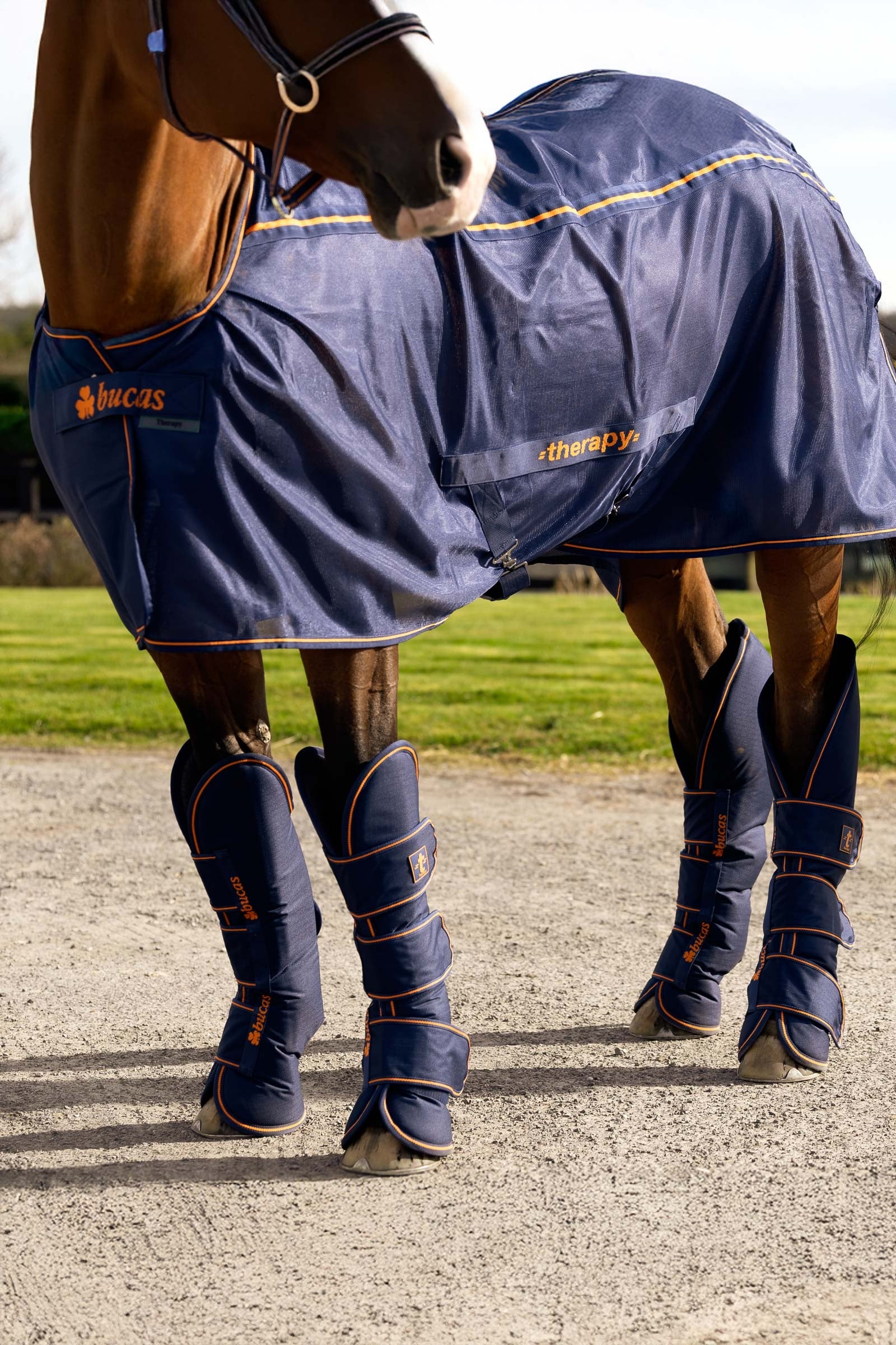 Bucas Therapy Travel Boots (Set of 4) Leg & Hoof Protection