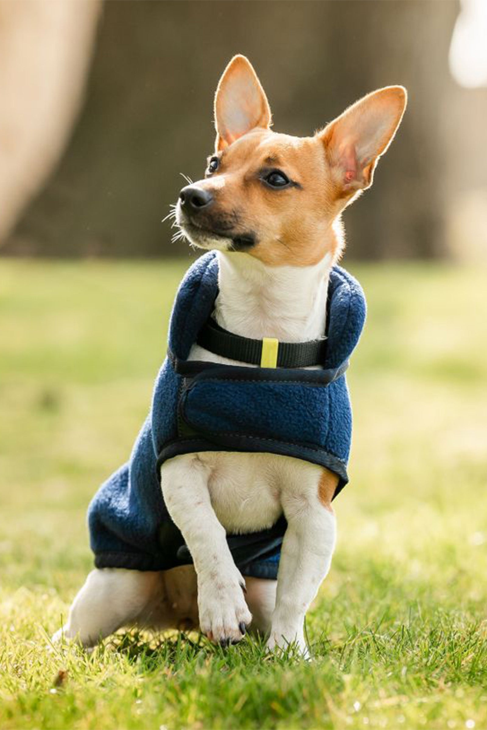 Horseware Signature Hondenfleece Deken Hond
