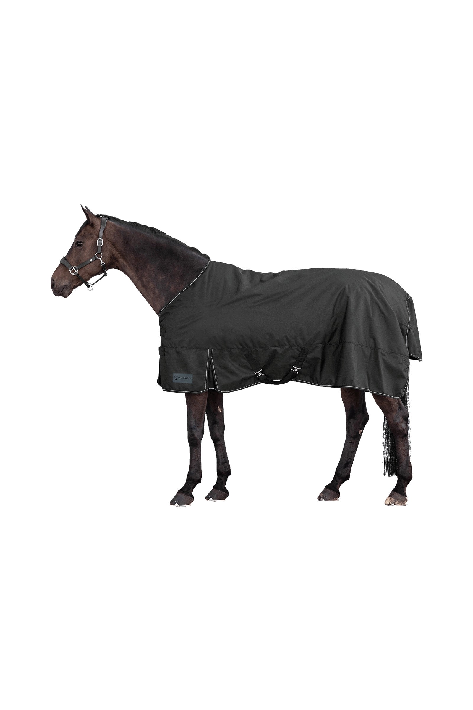 Waldhausen NORDIC 600D Outdoor Rug, 100 g Horse Rugs