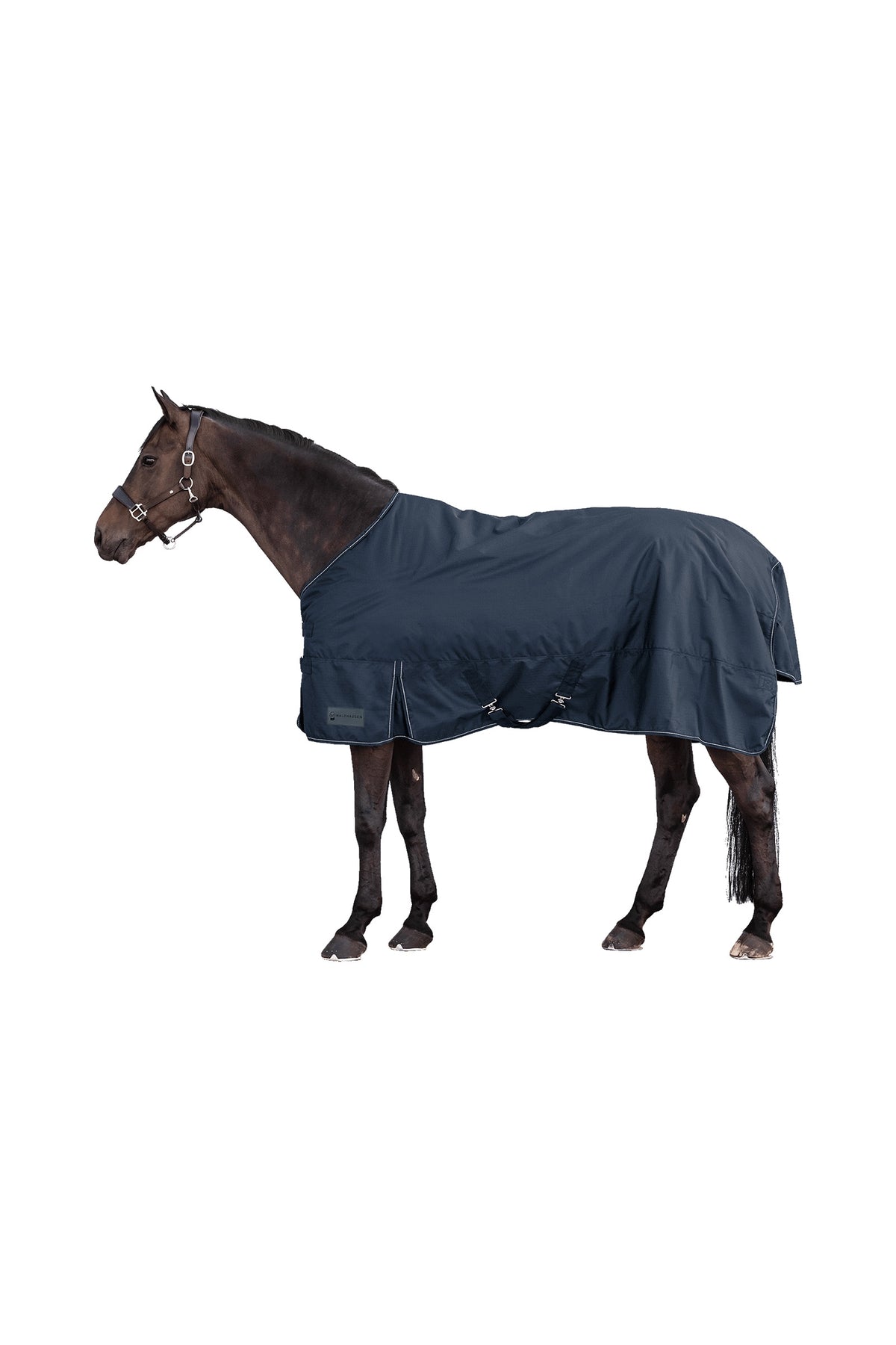 Waldhausen NORDIC 600D Outdoordeken, 100 g Paardendekens