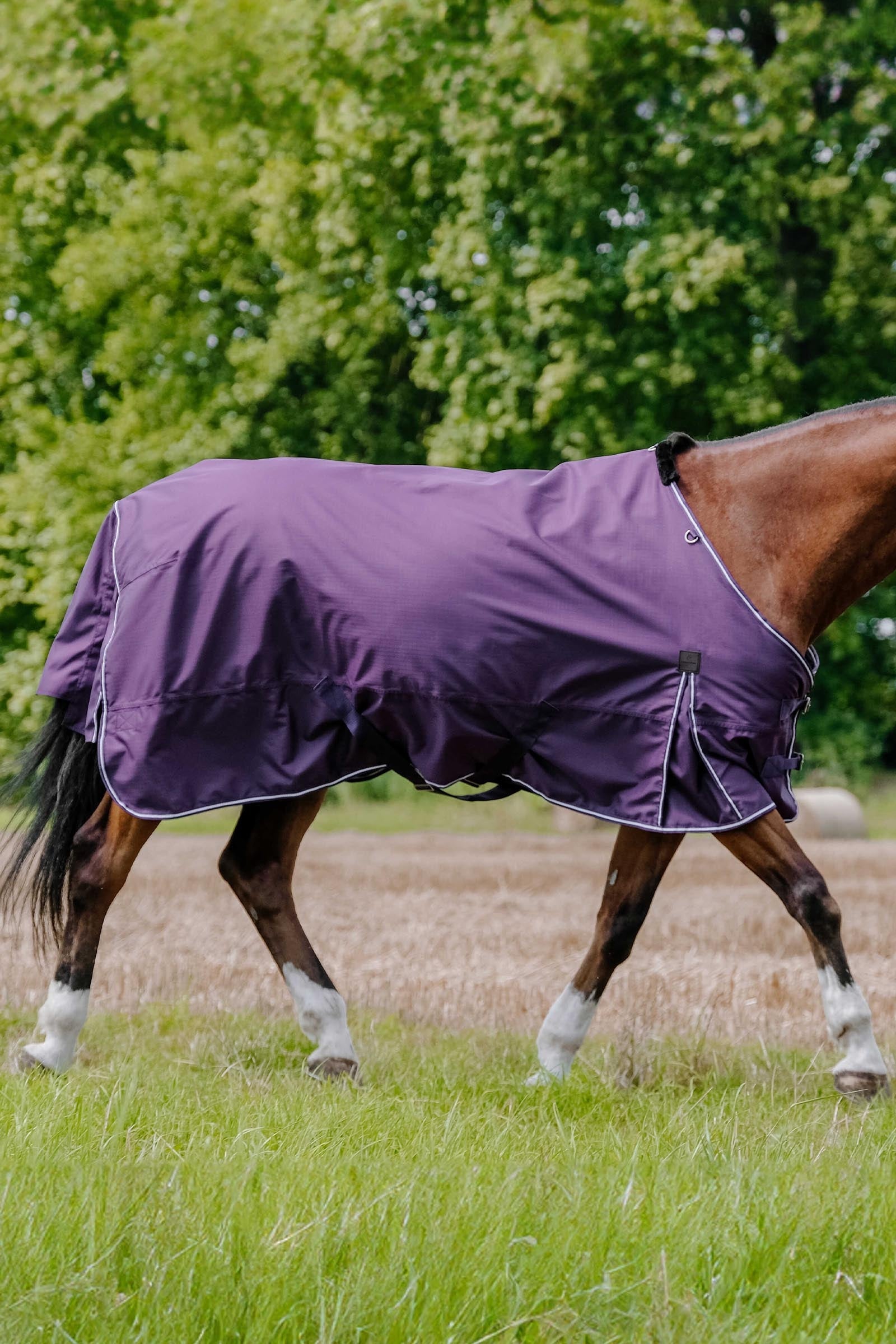EQUITHÈME TYREX Aisance 600D Turnout Rug, 300 g Horse Rugs