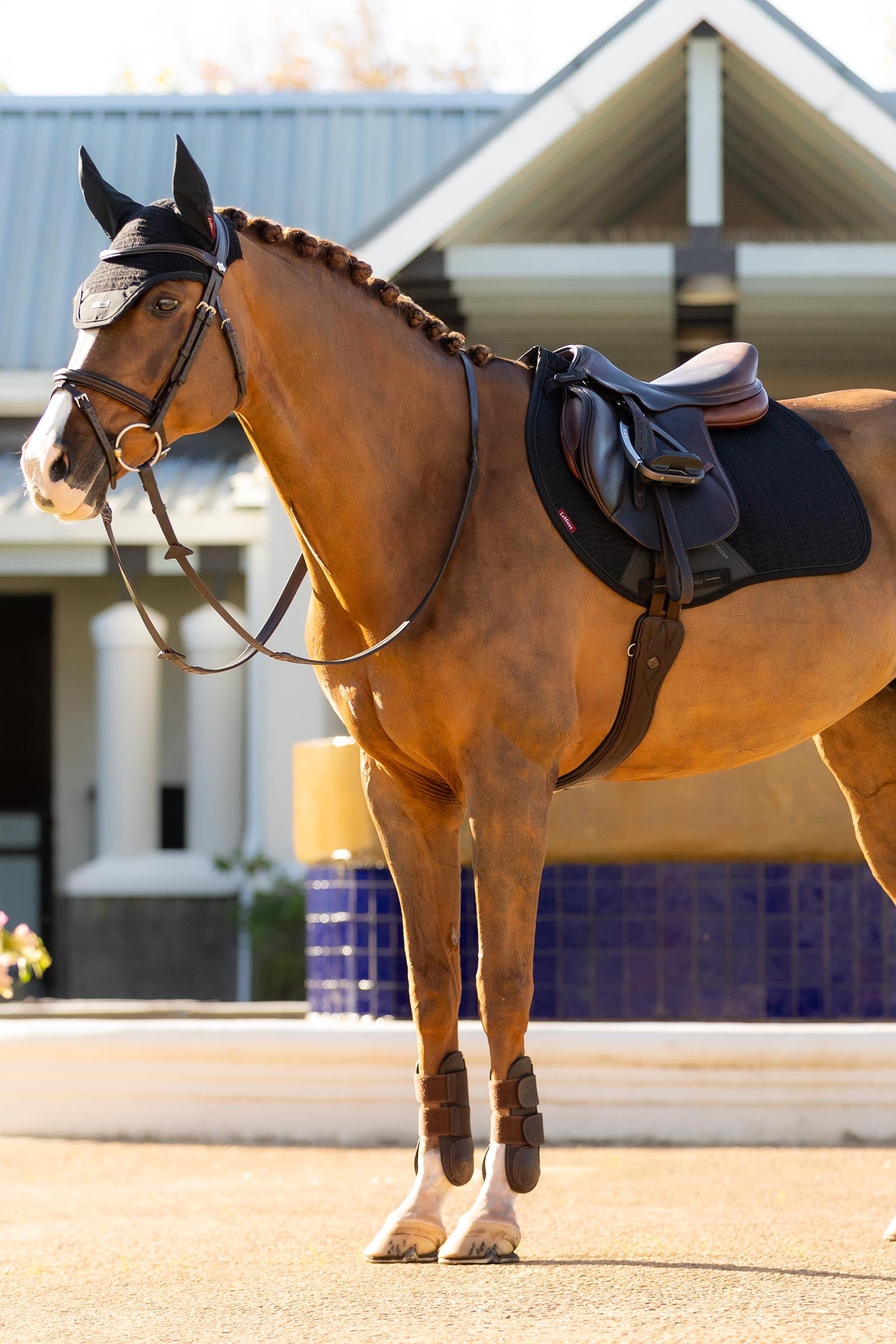 LeMieux Essence Eurojump Jumping Saddle Pad Saddle Pads